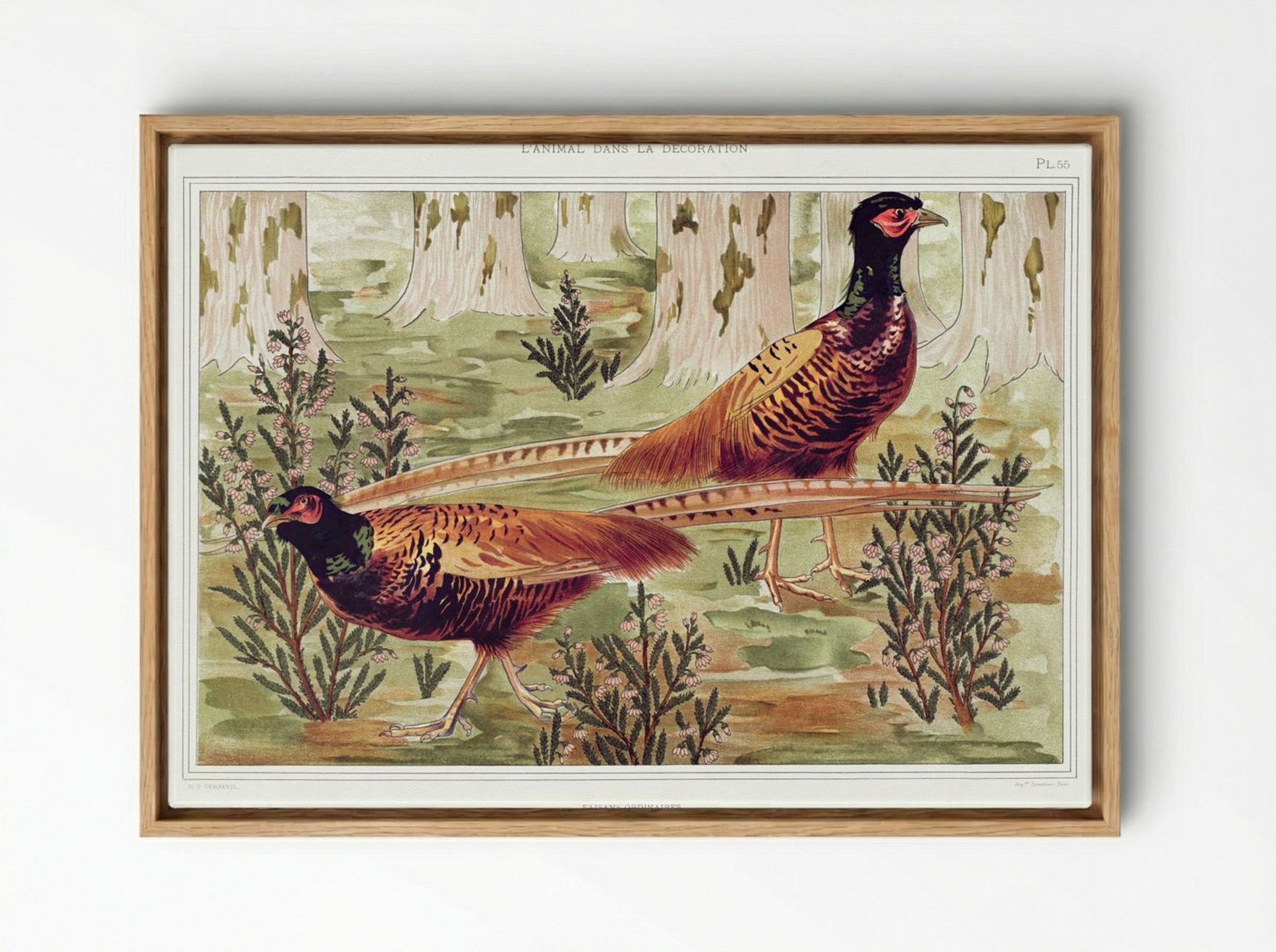 Faisans Ordinaires (Common Pheasants) - Maurice Pillard Verneuil - Framed Canvas Wood