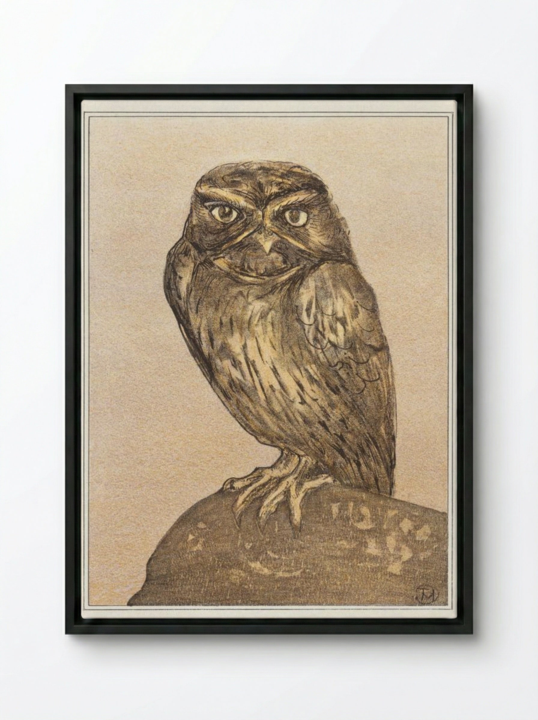 Little Owl on a Rock - Theo van Hoytema - Framed Canvas Black