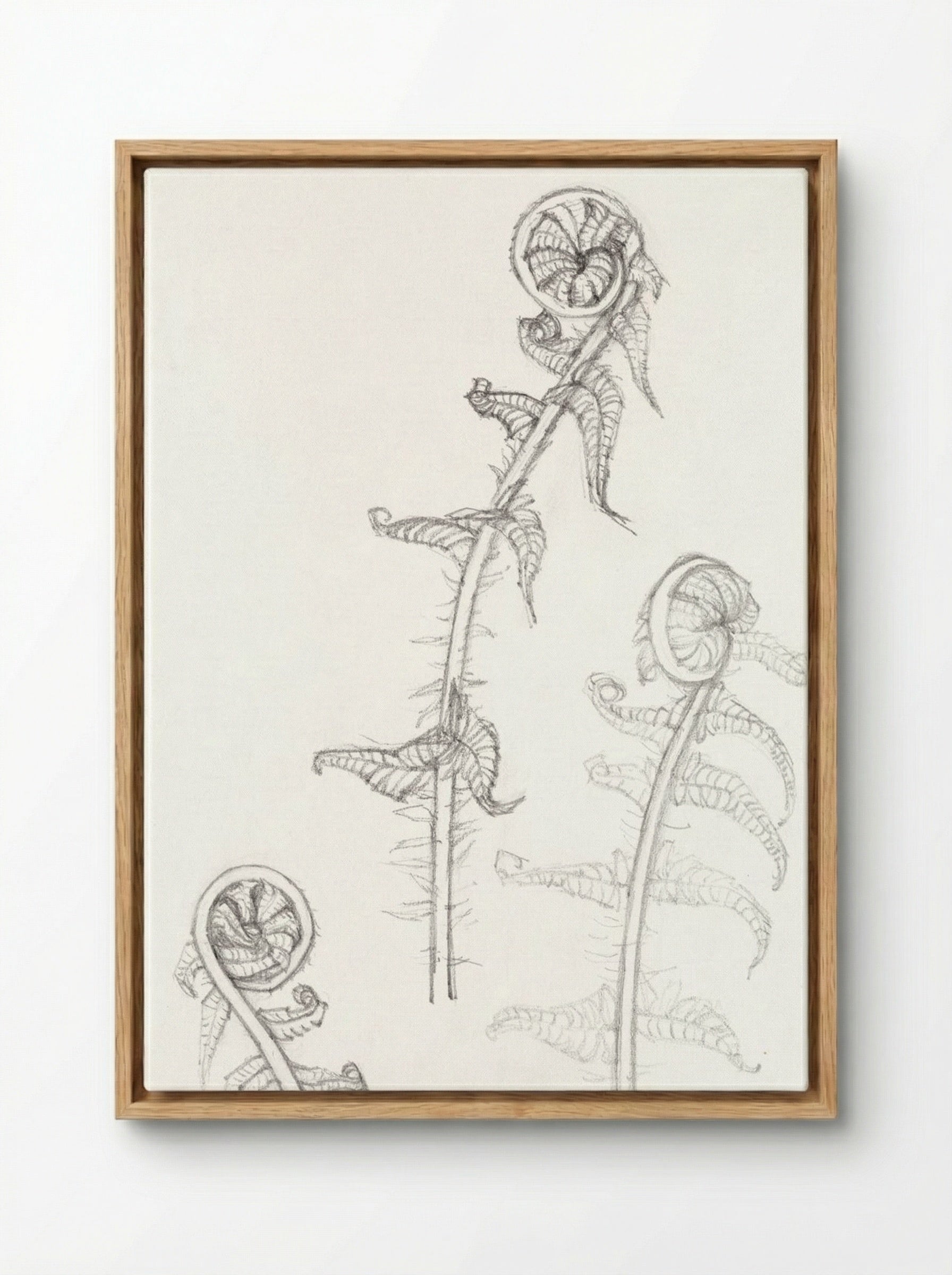 Sketches of Fronds - Julie de Graag - Framed Canvas Wood