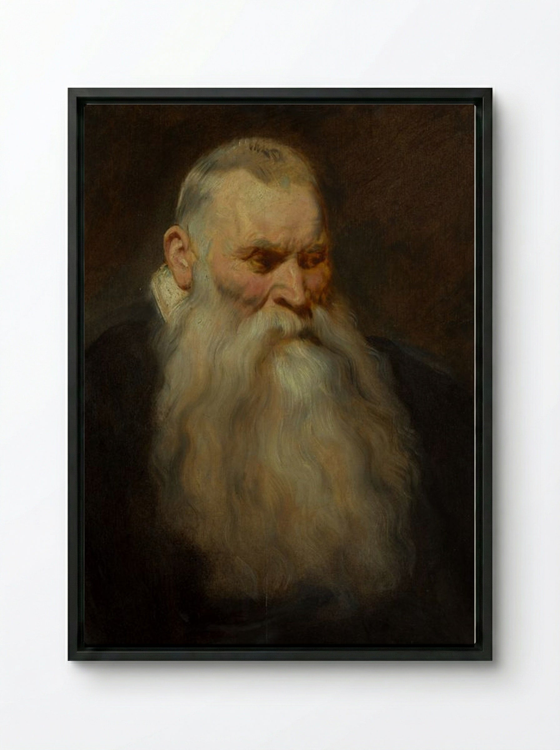 Study: Head of an Old Man with a White Beard - Anthony van Dyck - Framed Canvas Black