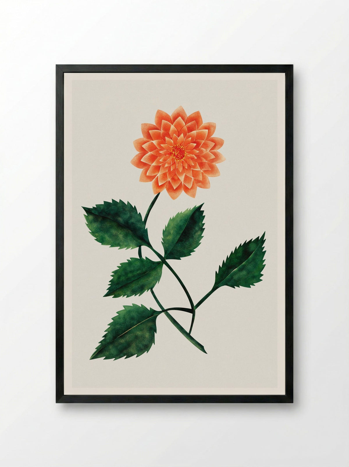 Dahlia - Mary Altha Nims - Framed Print Black