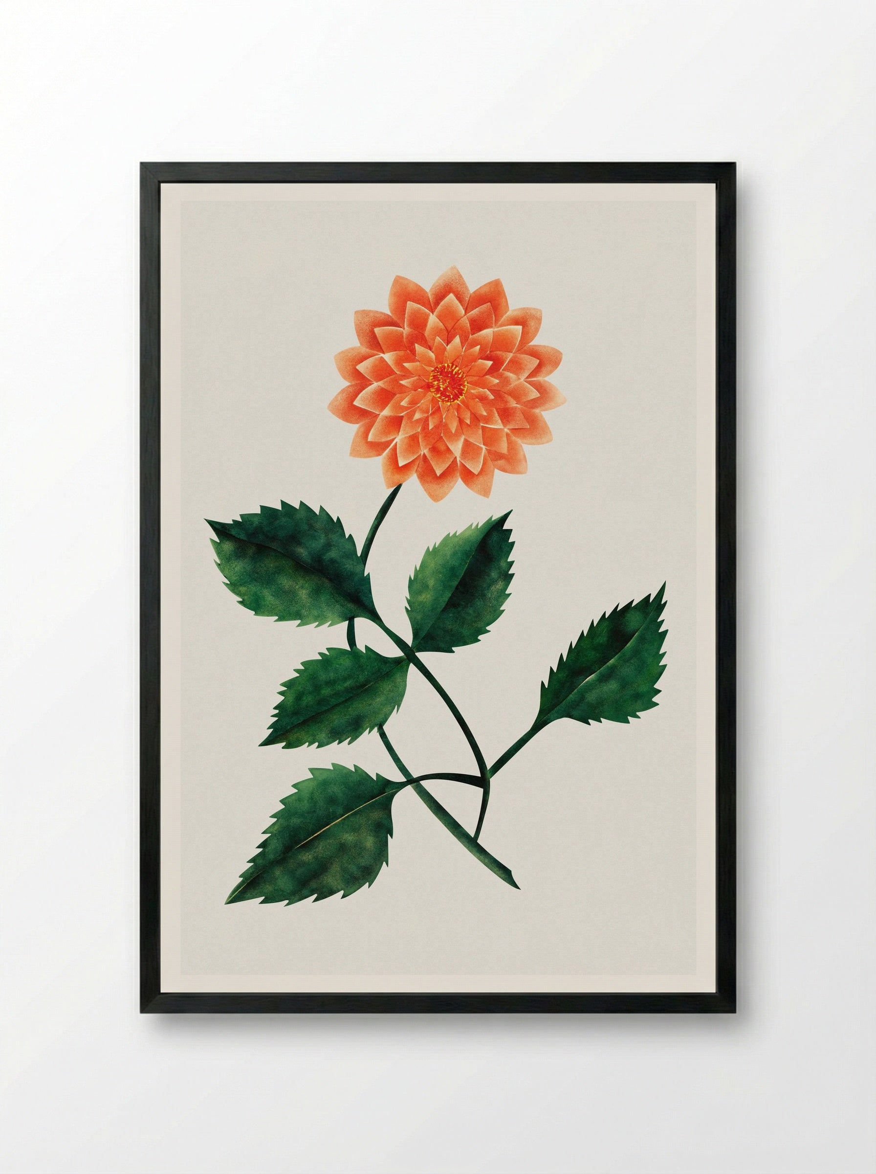 Dahlia - Mary Altha Nims - Framed Print Black