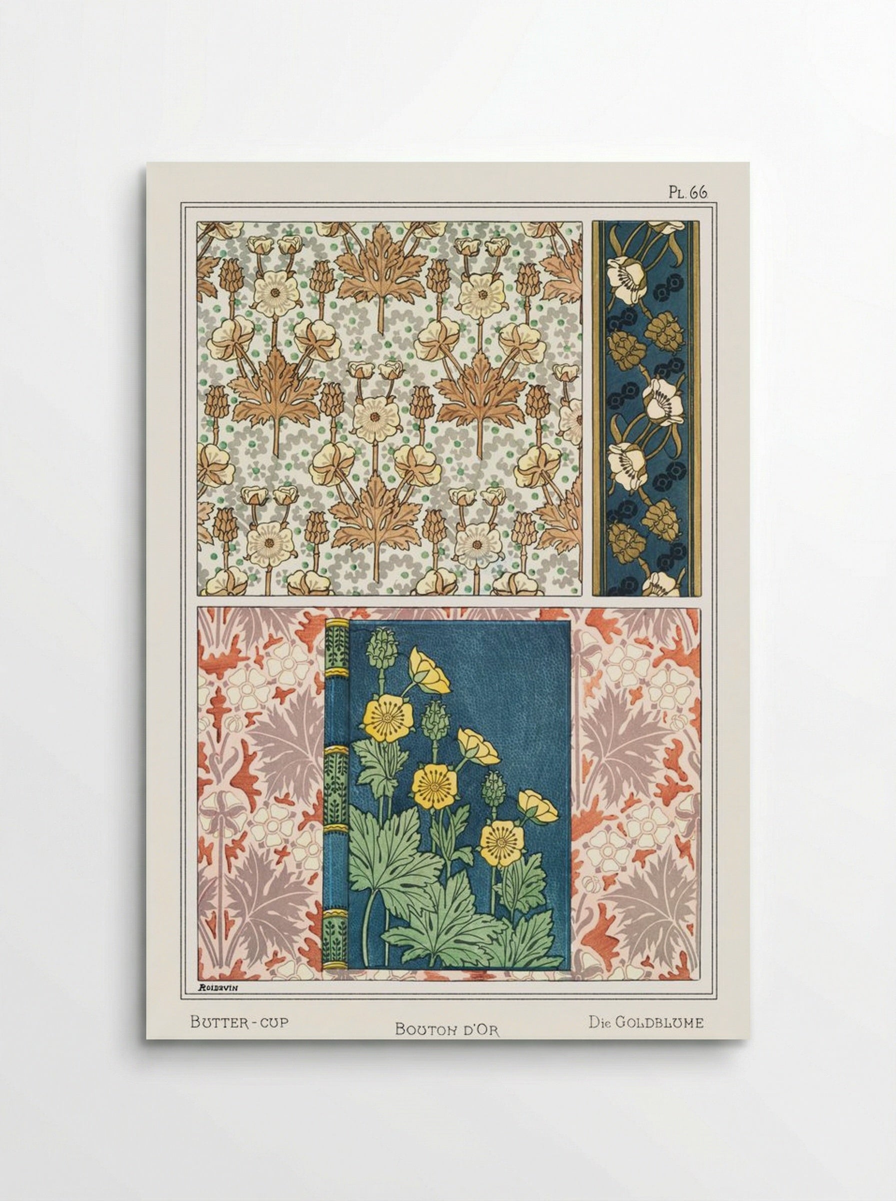 Bouton d'Or (Buttercup) from La Plante et ses Applications ornementales - Maurice Pillard Verneuil - Poster