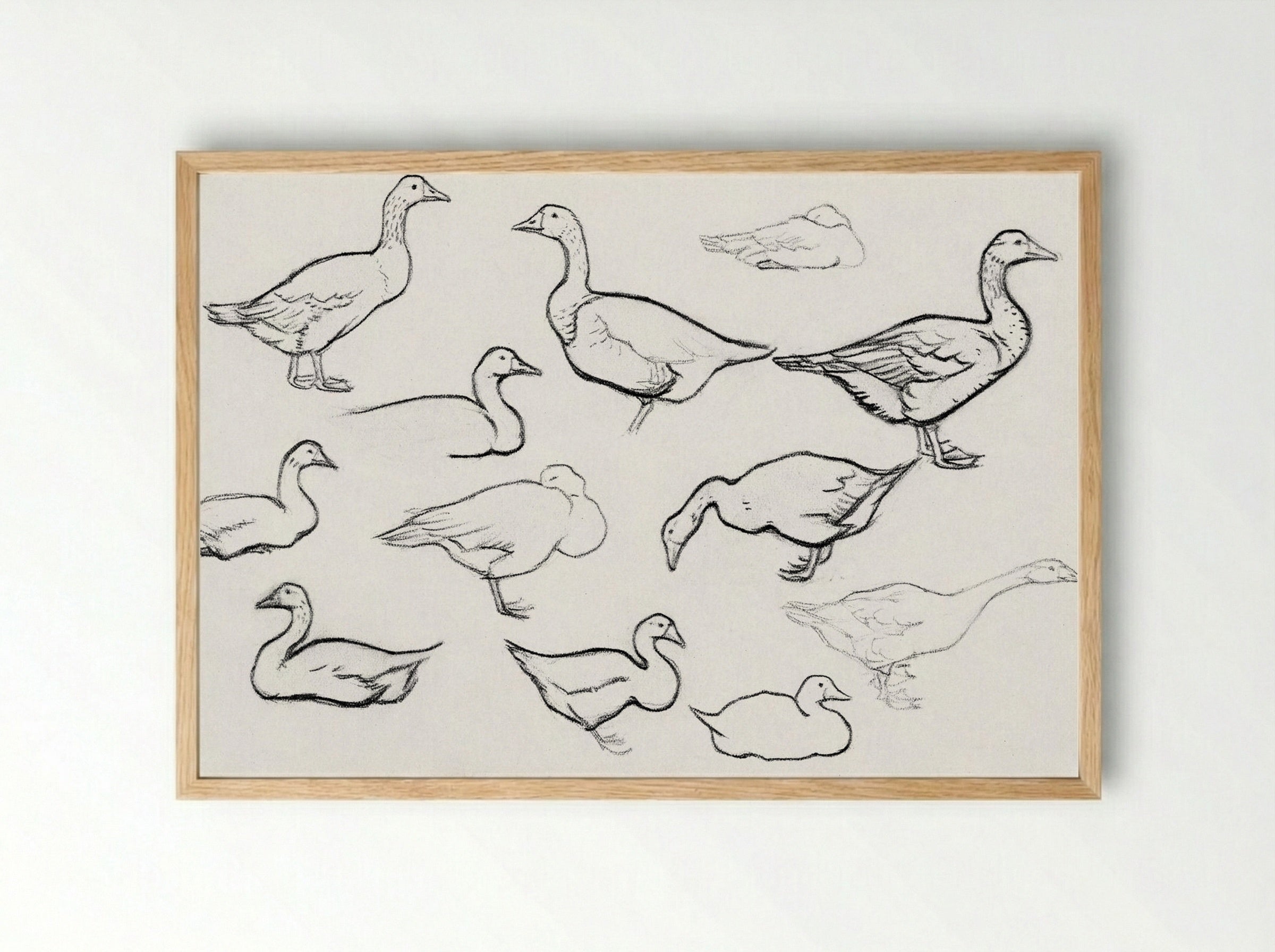 Study of Geese - Julie de Graag - Framed Print Wood