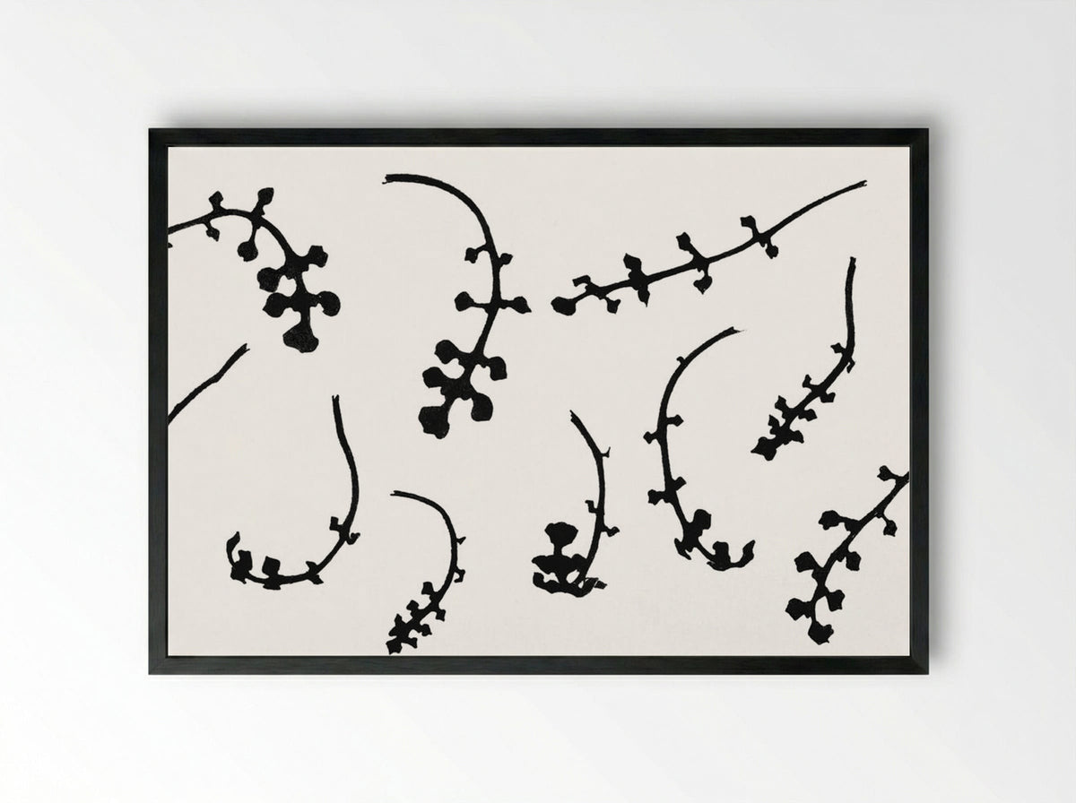 Root Rosettes of the Pentecostal Flower - Julie de Graag - Framed Print Black