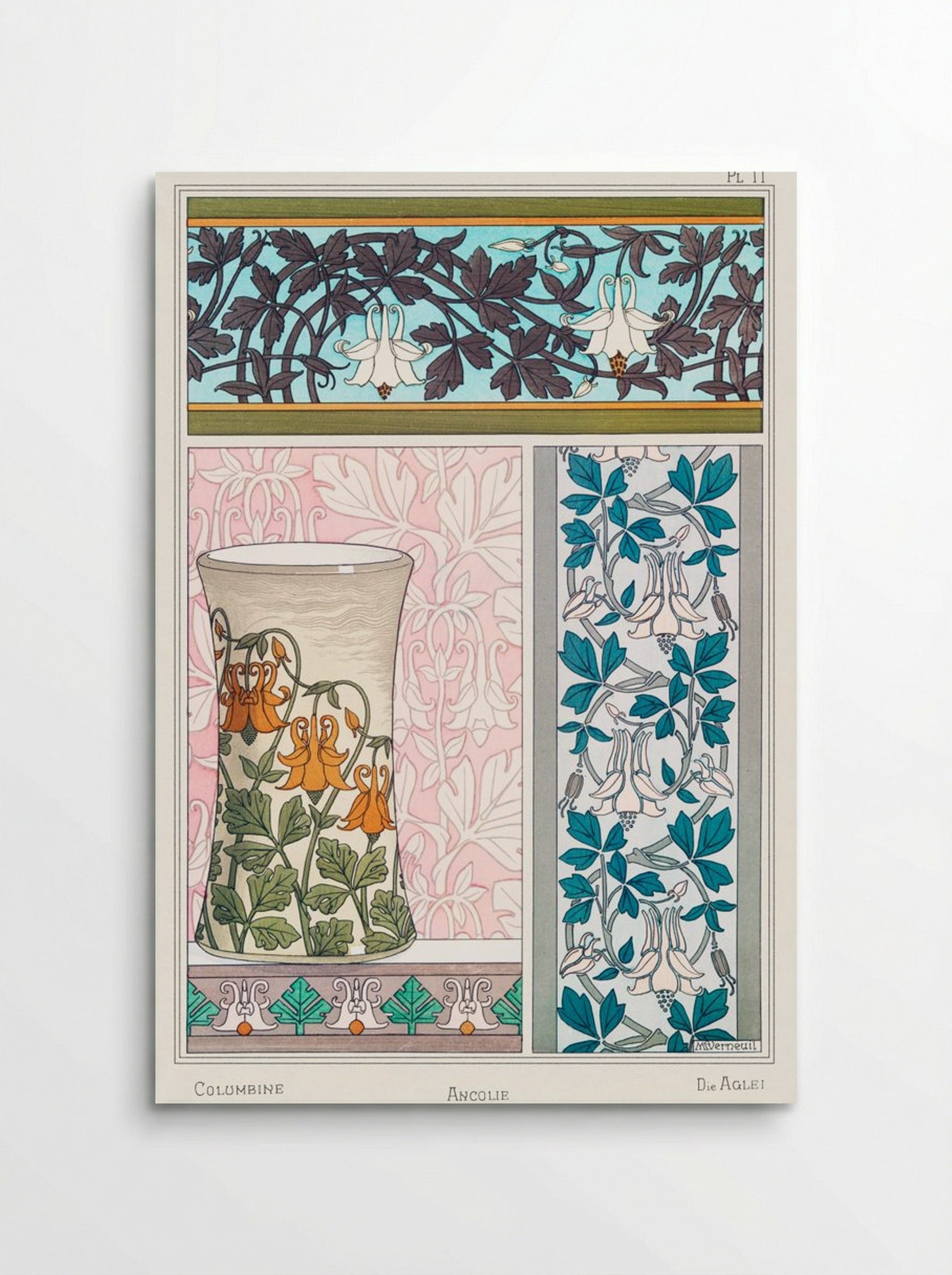 Ancolie (Columbine) from La Plante et ses Applications ornementales - Maurice Pillard Verneuil - Poster