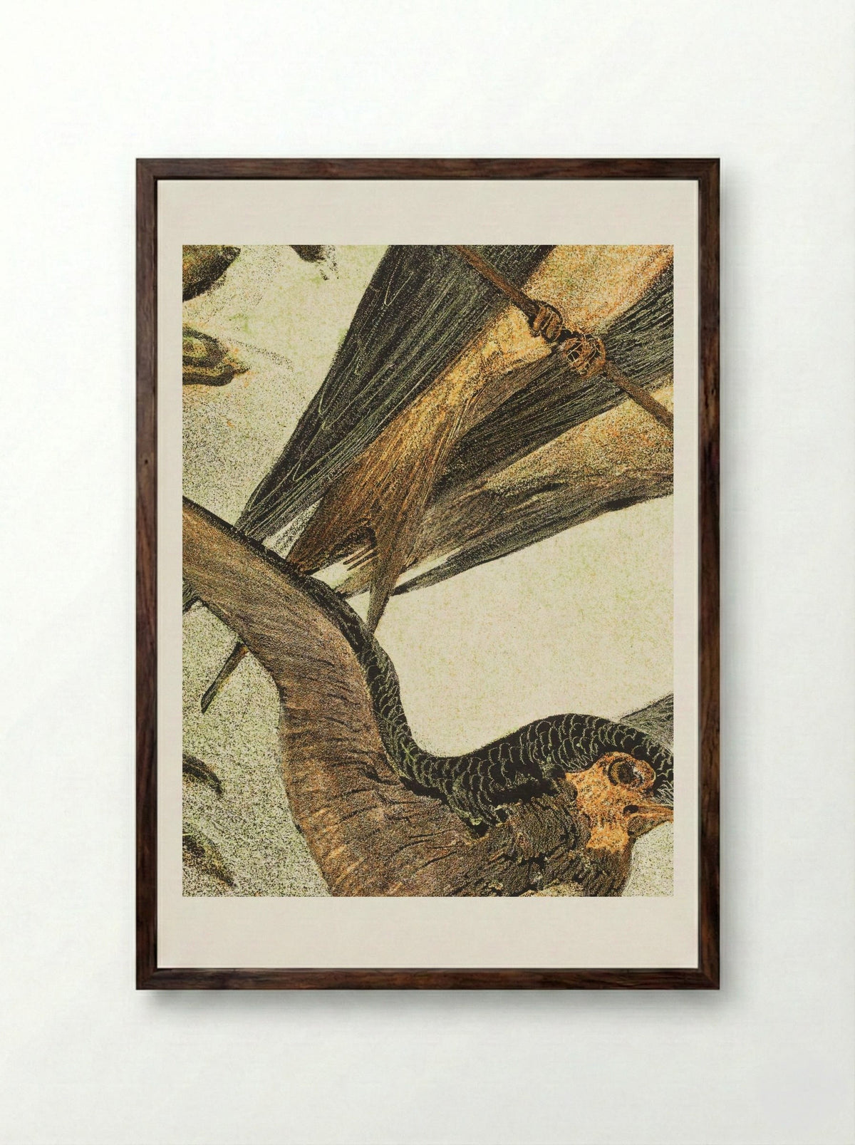 Drie zwaluwen (Three Swallows) - Theo van Hoytema - Framed Print Dark Wood