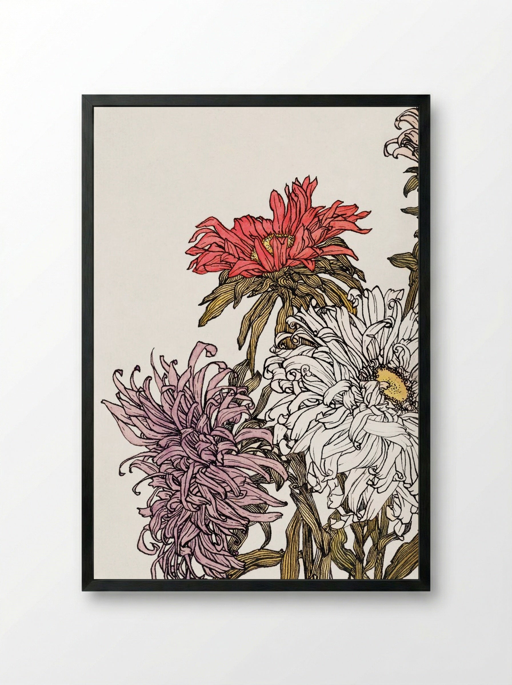 Chrysanthemums - Julie de Graag - Framed Print Black