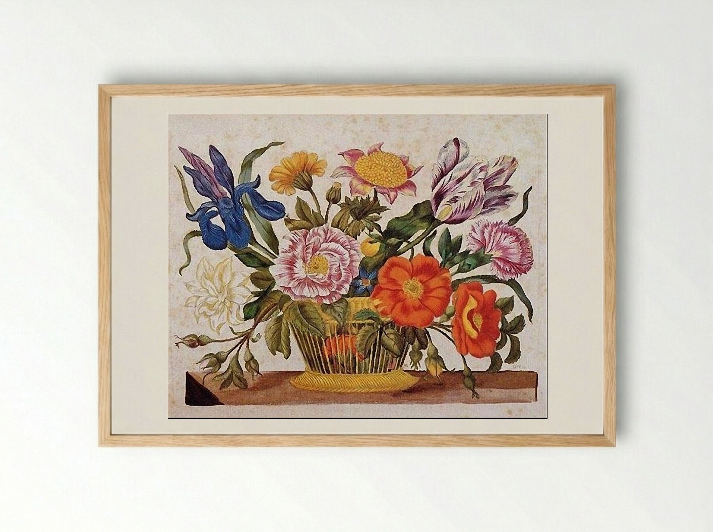 from Der Raupen wunderbare Verwandlung und sonderbare Blumennahrung, Plate CLXIX - Maria Sibylla Merian - Framed Print Wood
