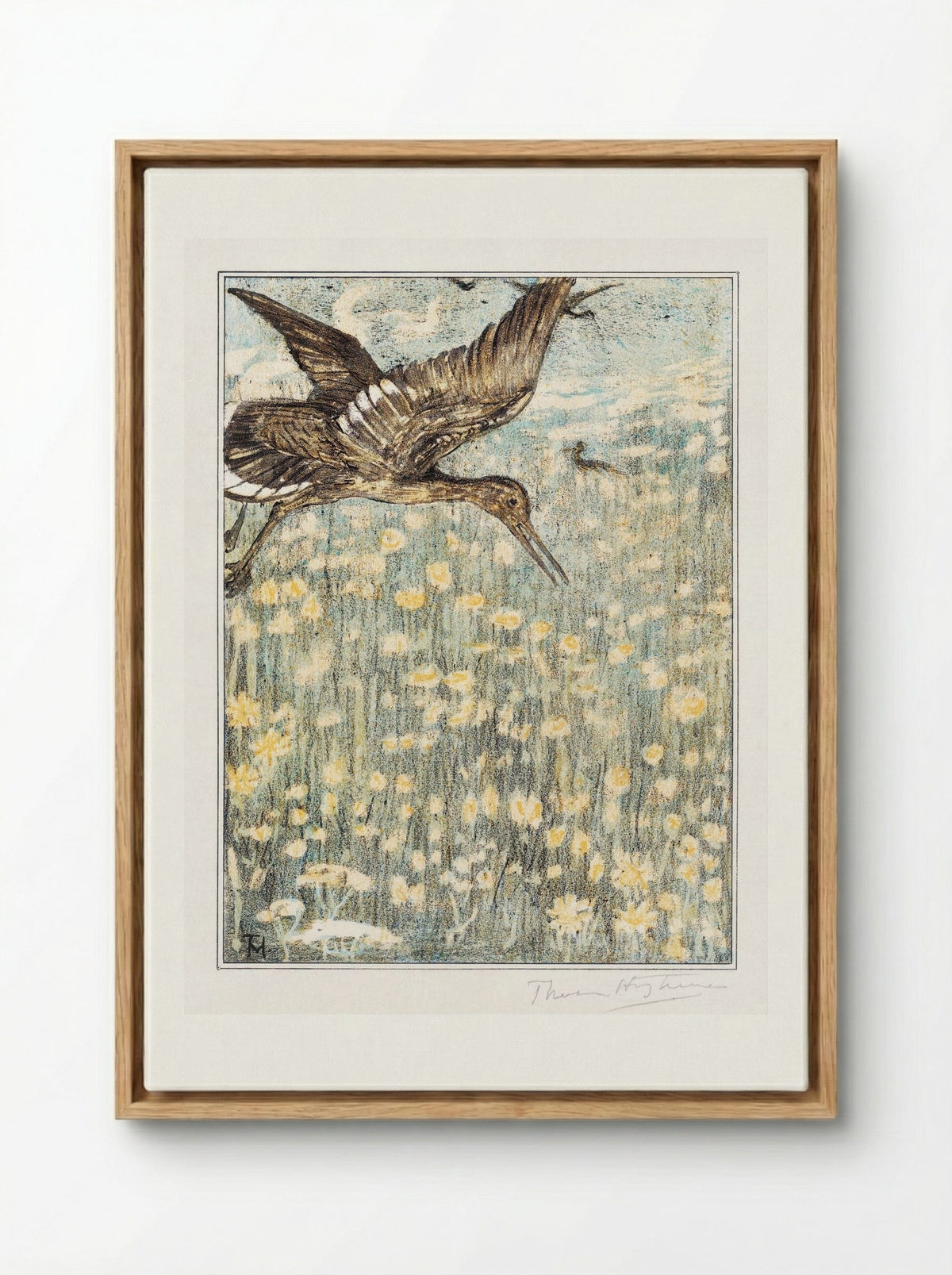 Tureluur (Redshank) - Theo van Hoytema - Framed Canvas Wood