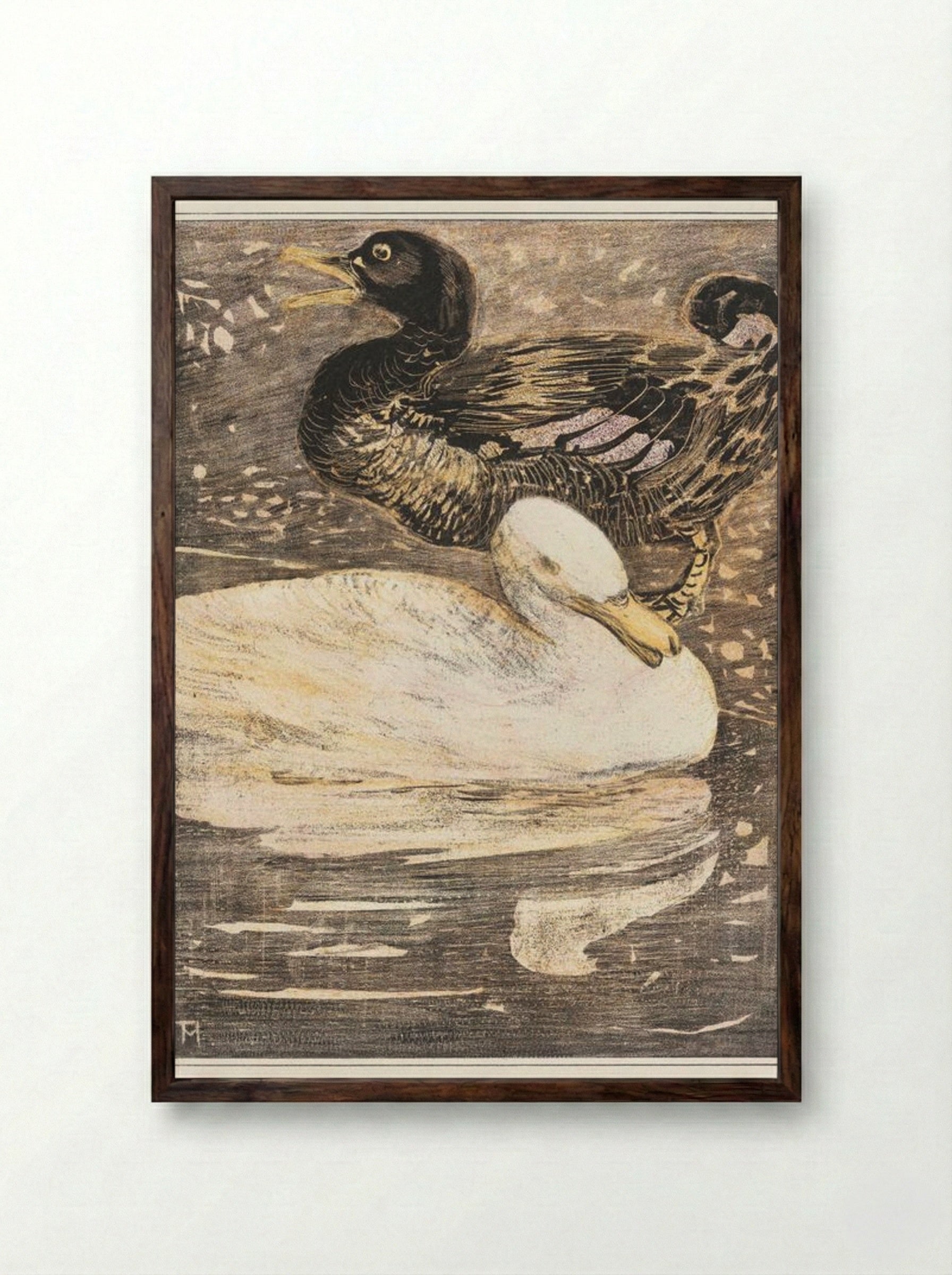Two Ducks - Theo van Hoytema - Framed Print Dark Wood