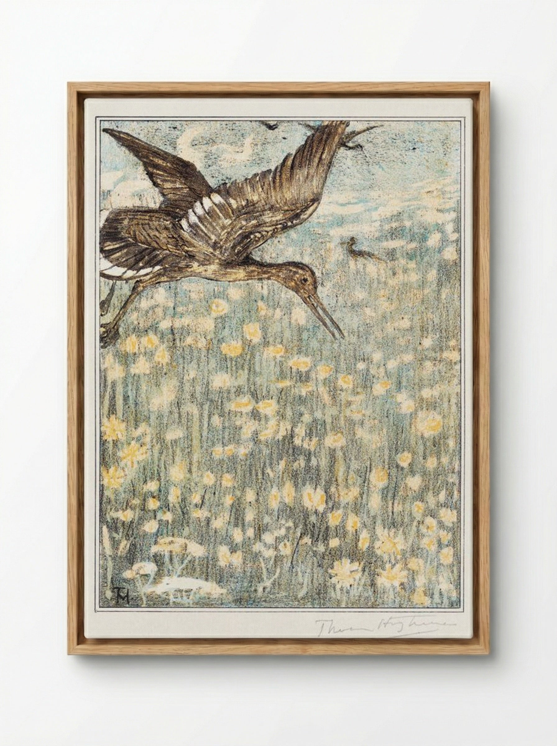 Tureluur (Redshank) - Theo van Hoytema - Framed Canvas Wood