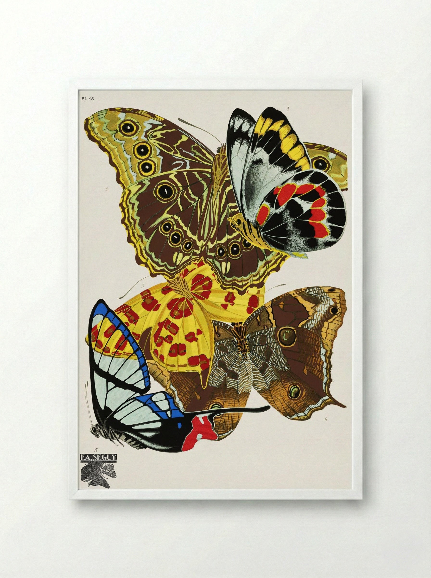 Butterflies (Plate 15) - Émile-Allain Séguy - Framed Print White