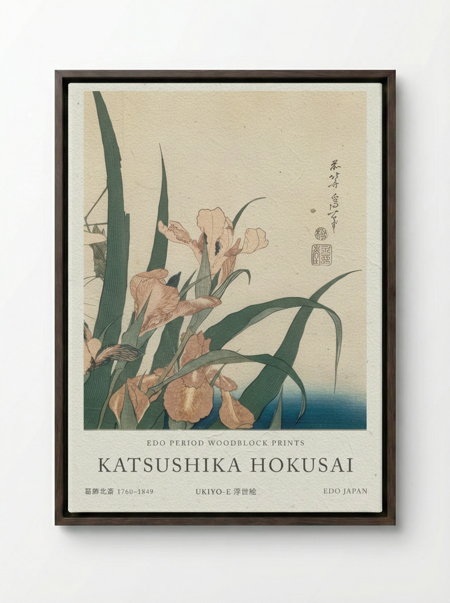 Irises and Grasshopper – Fine Art Print