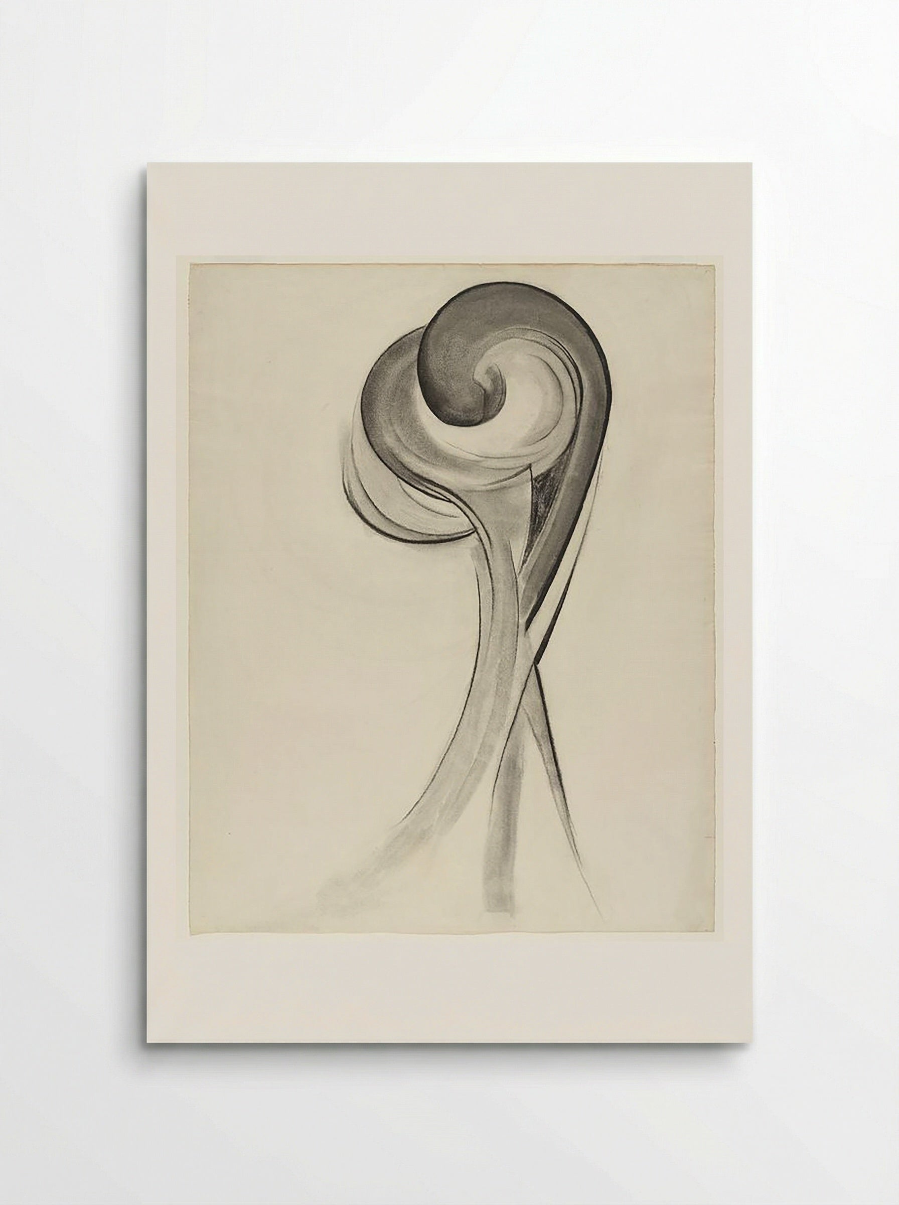 Untitled (Abstract Floral Study, Charcoal on Paper) - Fine Art Print - Poster