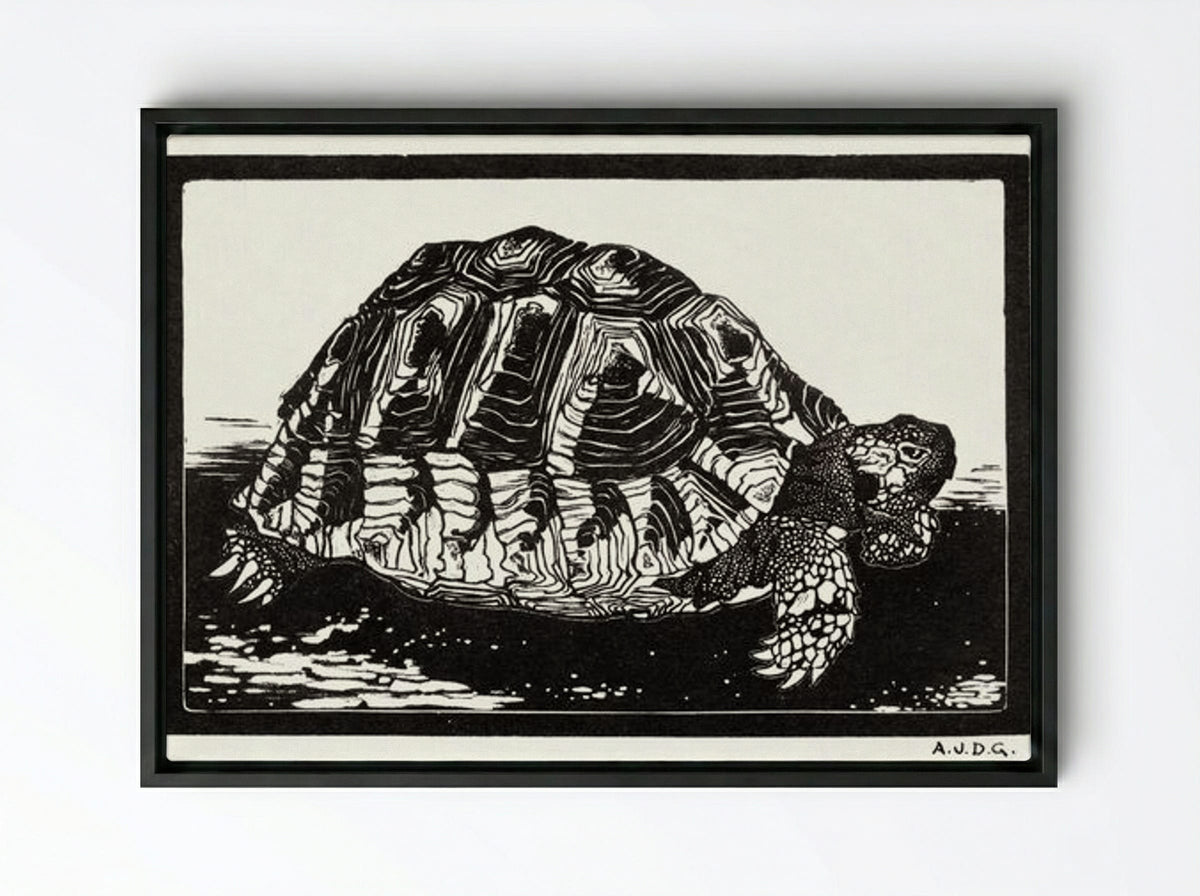 Turtle - Julie de Graag - Framed Canvas Black