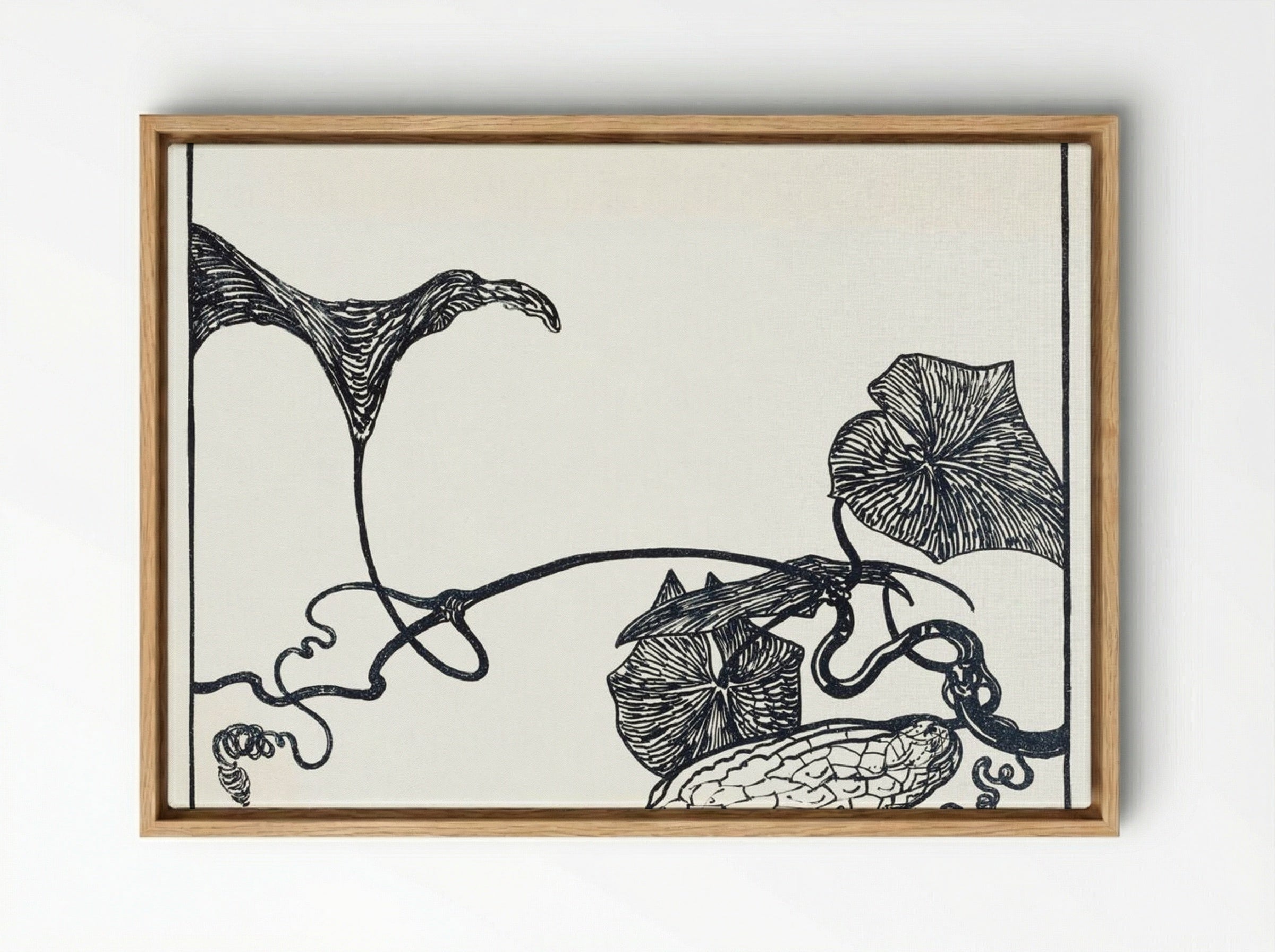 Augurkenplant (Cucumber Plant) - Theo van Hoytema - Framed Canvas Wood