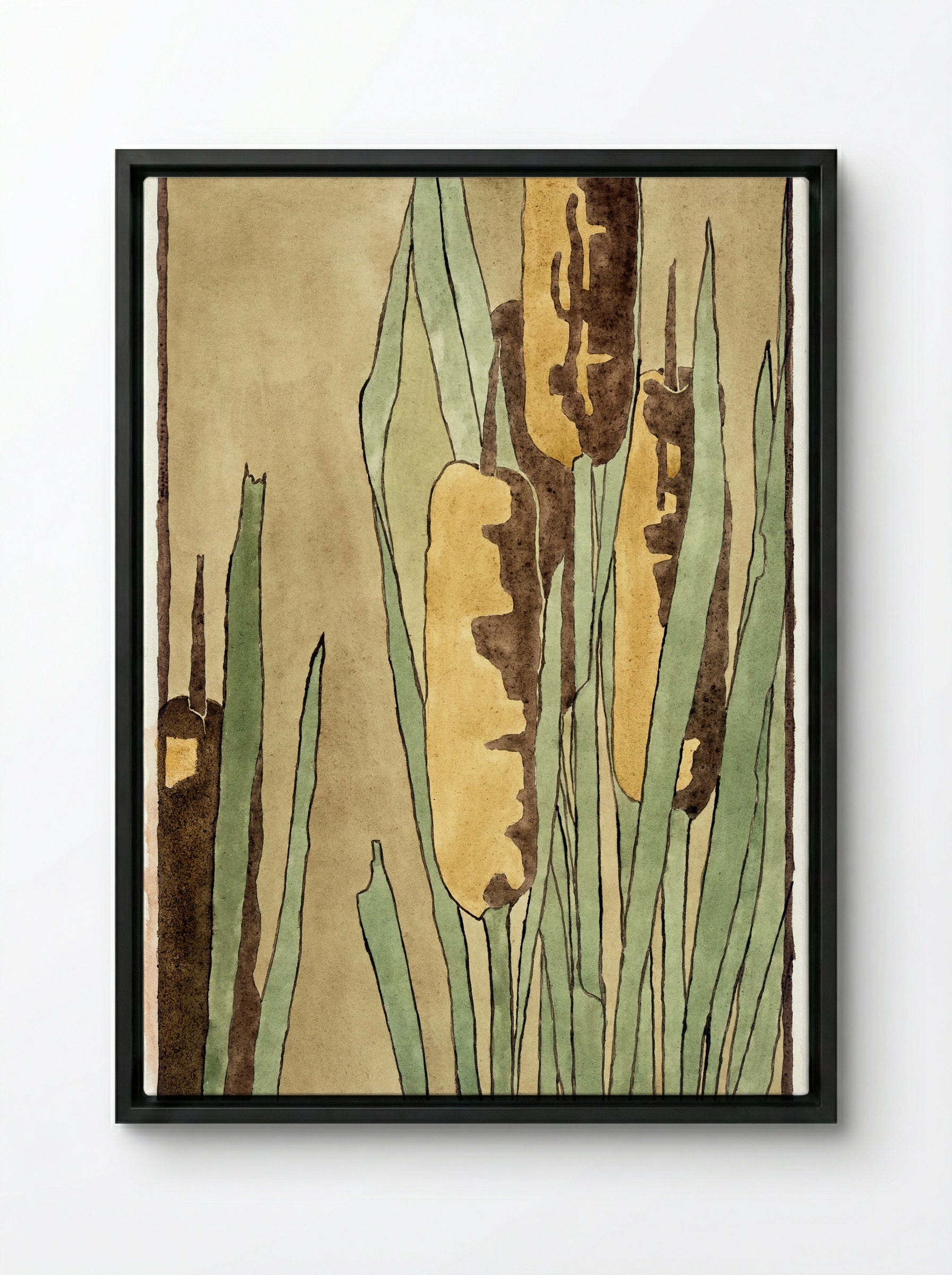 Cattail - Hannah Borger Overbeck - Framed Canvas Black