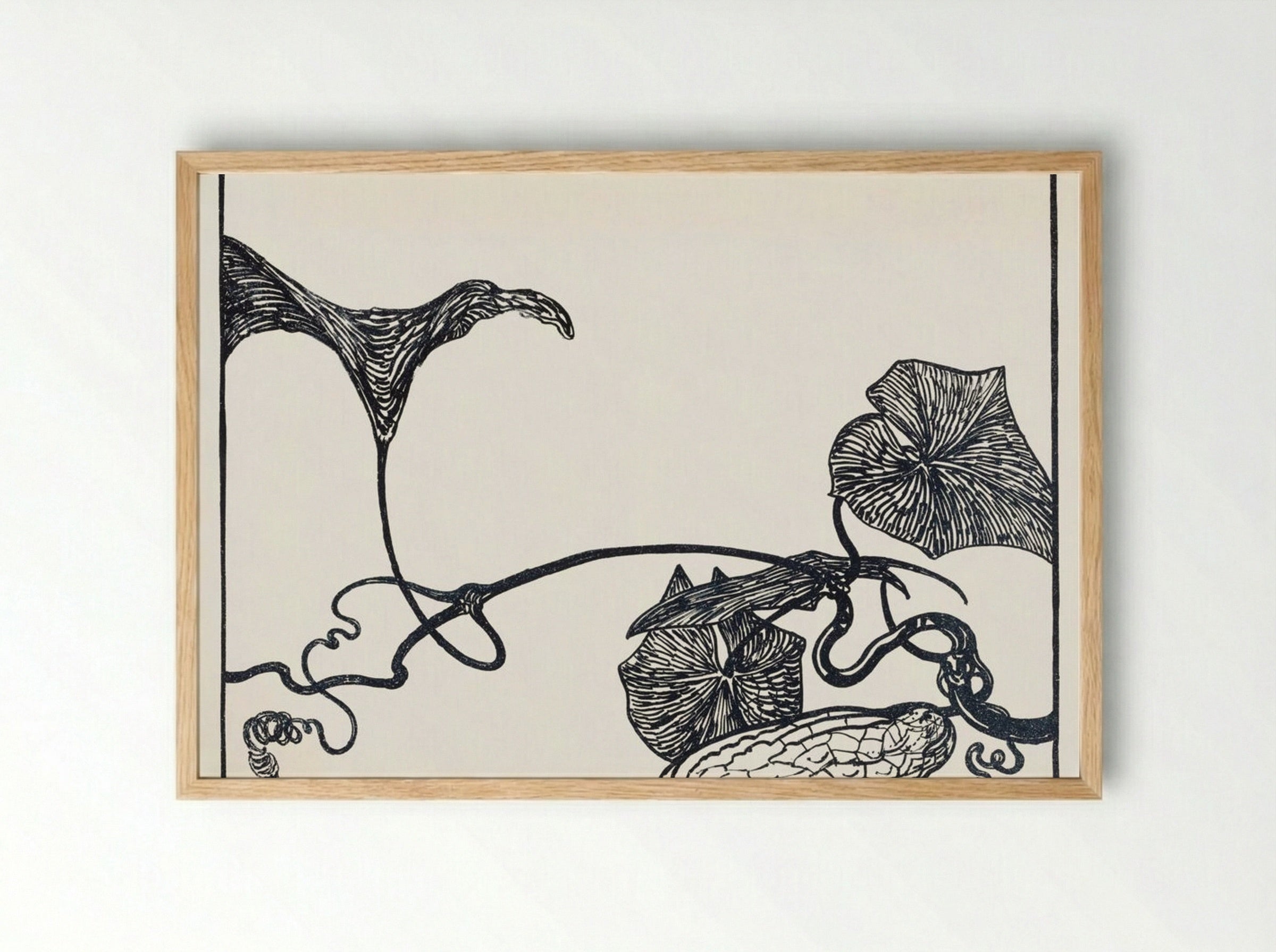 Augurkenplant (Cucumber Plant) - Theo van Hoytema - Framed Print Wood