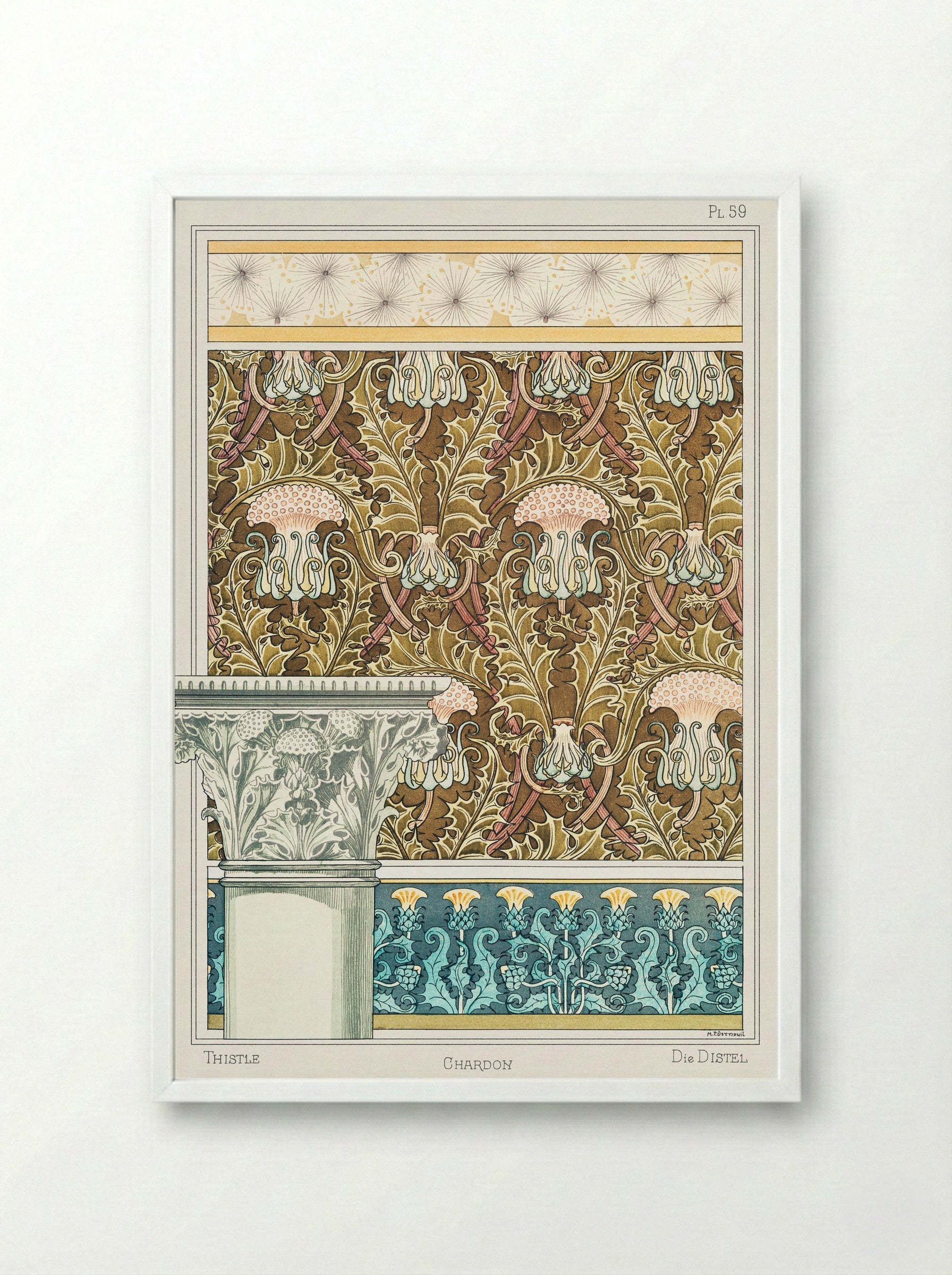 Chardon (Thistle) from La Plante et ses Applications ornementales - Maurice Pillard Verneuil - Framed Print White