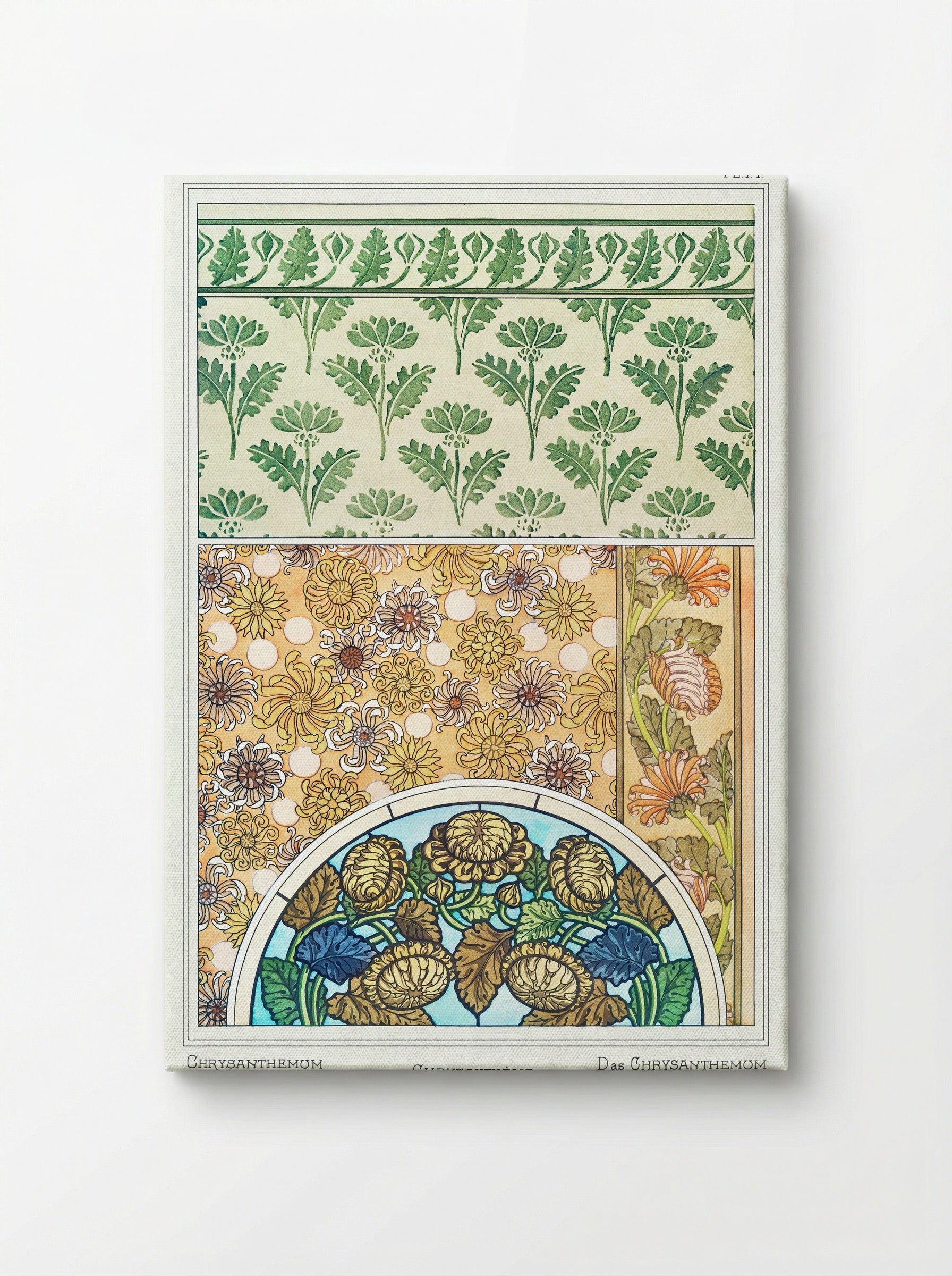 Chrysanthème (Chrysanthemum) from La Plante et ses Applications ornementales - Maurice Pillard Verneuil - Canvas