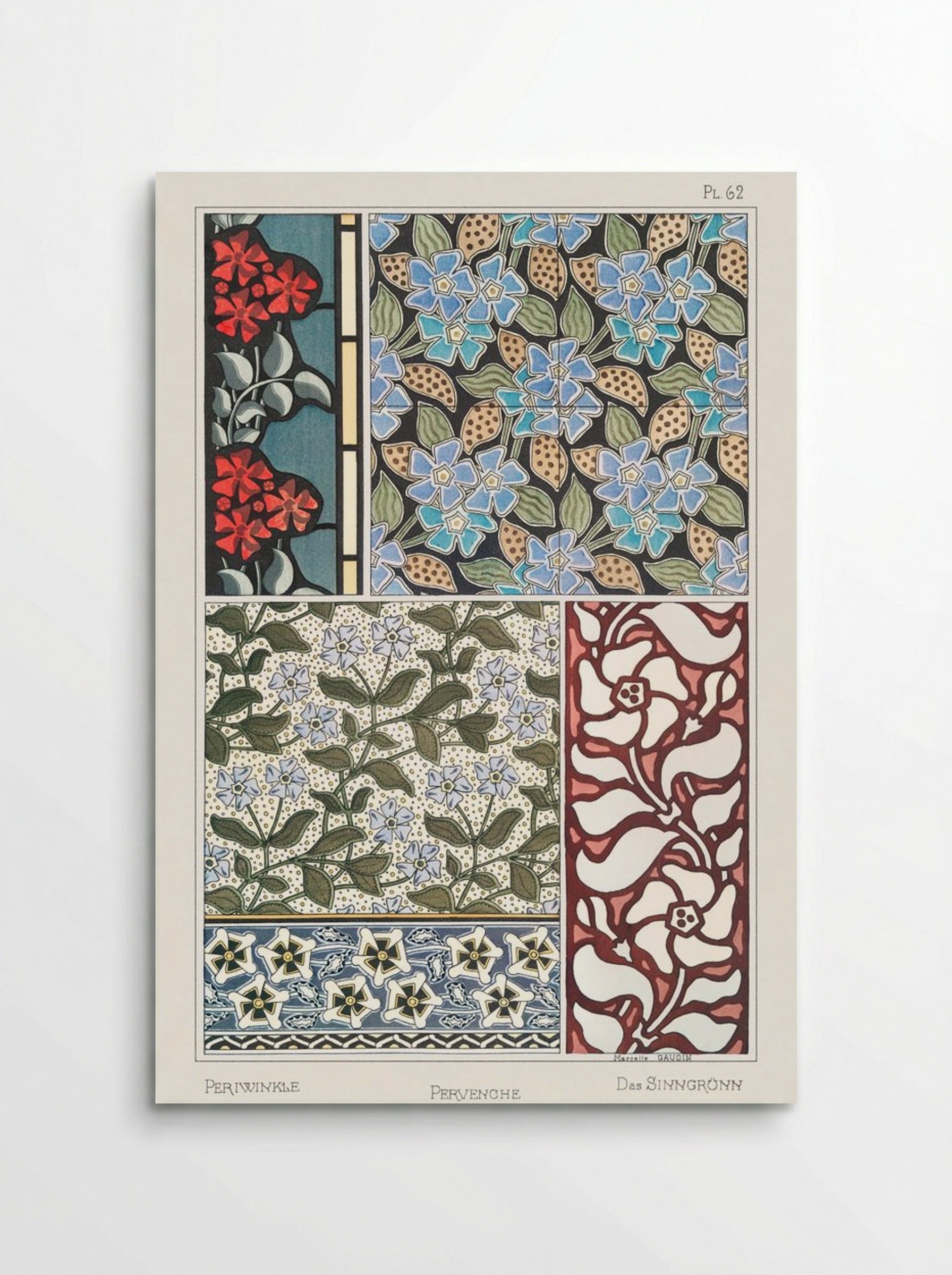 Pervenche (Periwinkle) from La Plante et ses Applications ornementales - Maurice Pillard Verneuil - Poster