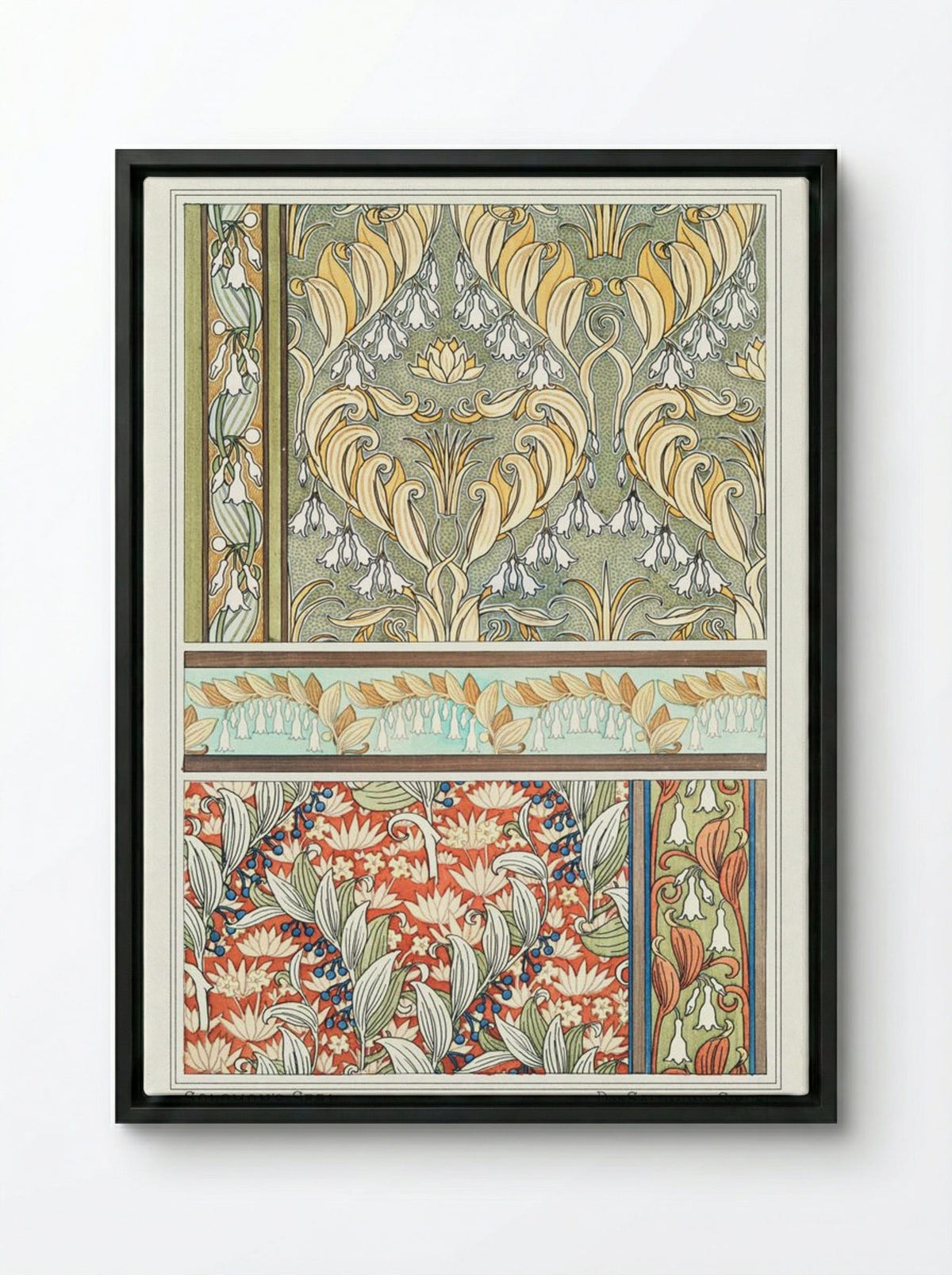 Sceau de Salomon (Solomon's Seal) from La Plante et ses Applications ornementales - Maurice Pillard Verneuil - Framed Canvas Black