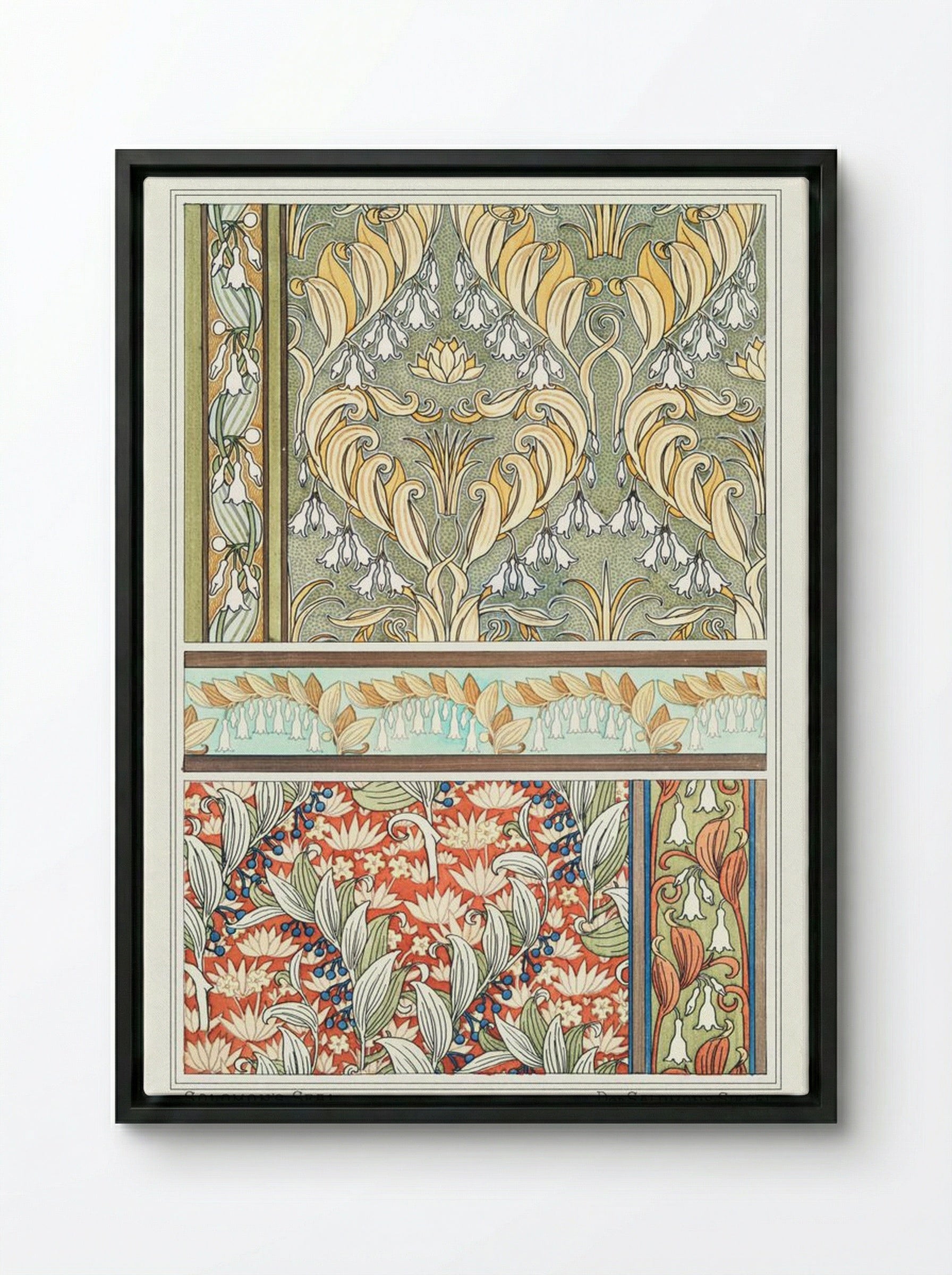 Sceau de Salomon (Solomon's Seal) from La Plante et ses Applications ornementales - Maurice Pillard Verneuil - Framed Canvas Black