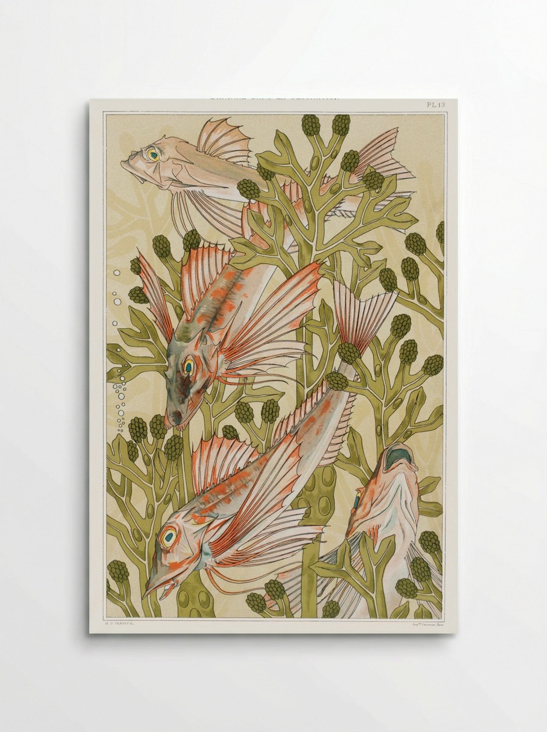 Rouget (From L'animal dans la décoration) - Maurice Pillard Verneuil - Poster