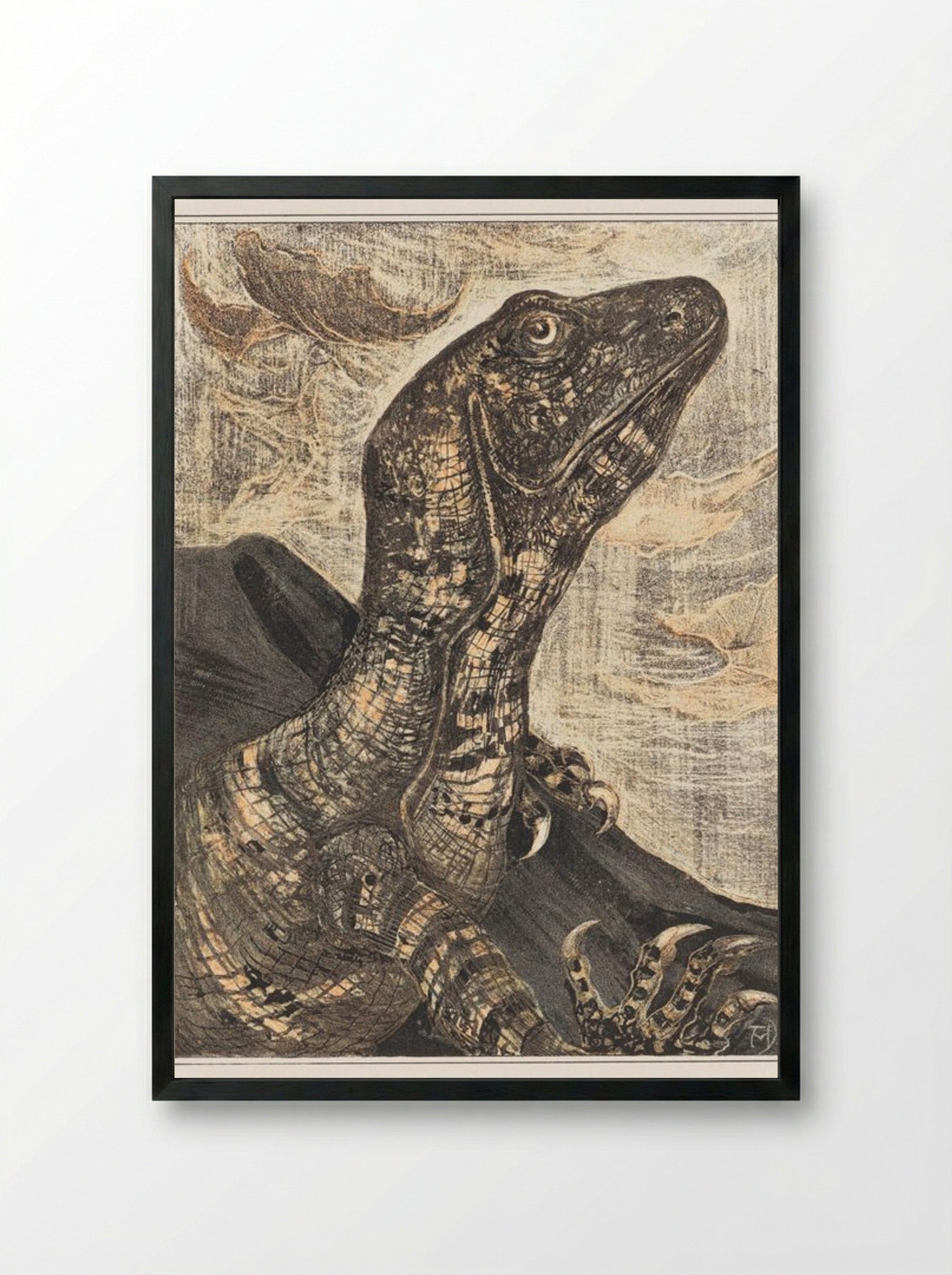 Leguaan (Monitor Lizard) - Theo van Hoytema - Framed Print Black