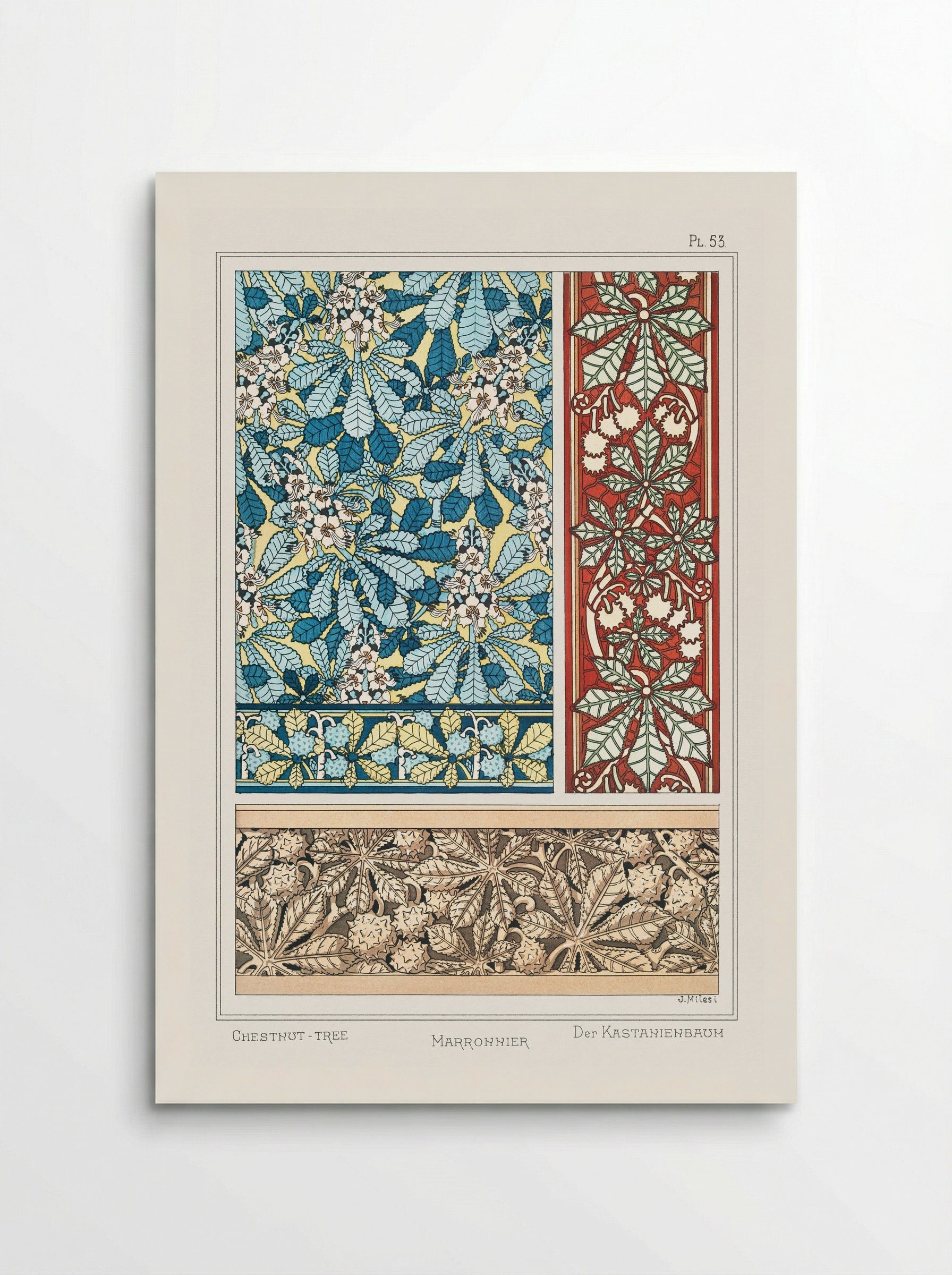 Marronnier (Chestnut Tree) from La Plante et ses Applications ornementales - Maurice Pillard Verneuil - Poster