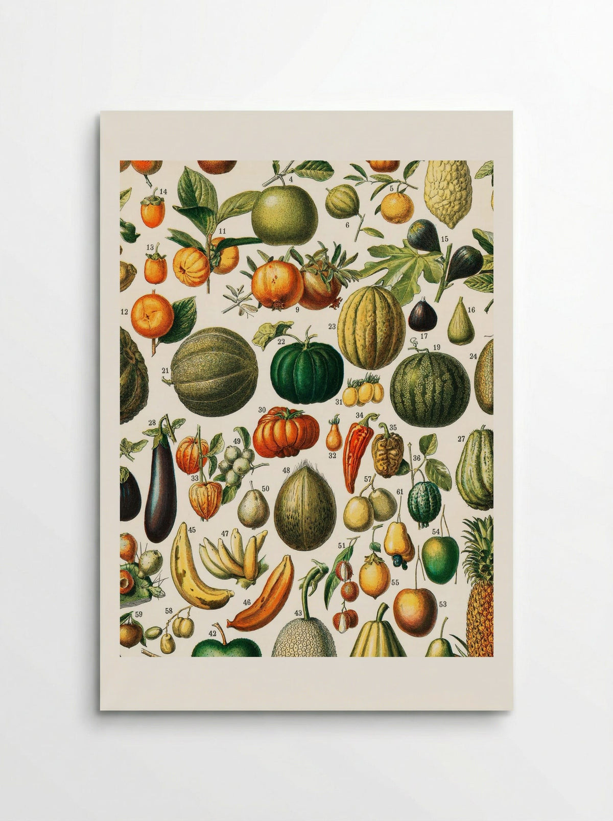 Fruits (from Nouveau Larousse Illustré) - Adolphe Millot - Poster