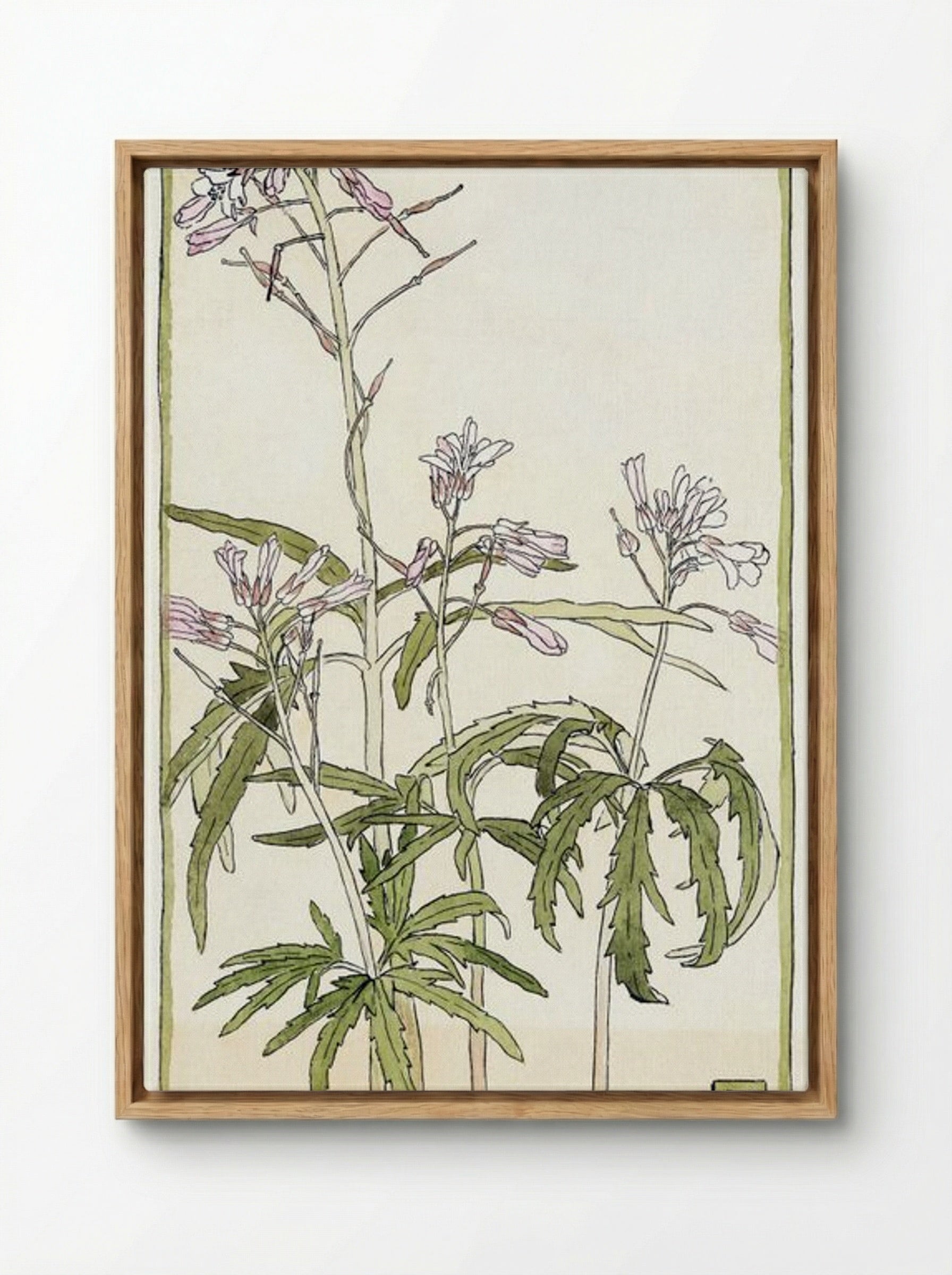 Pink Flowers with Spiky Green Leaves - Hannah Borger Overbeck - Framed Canvas Wood