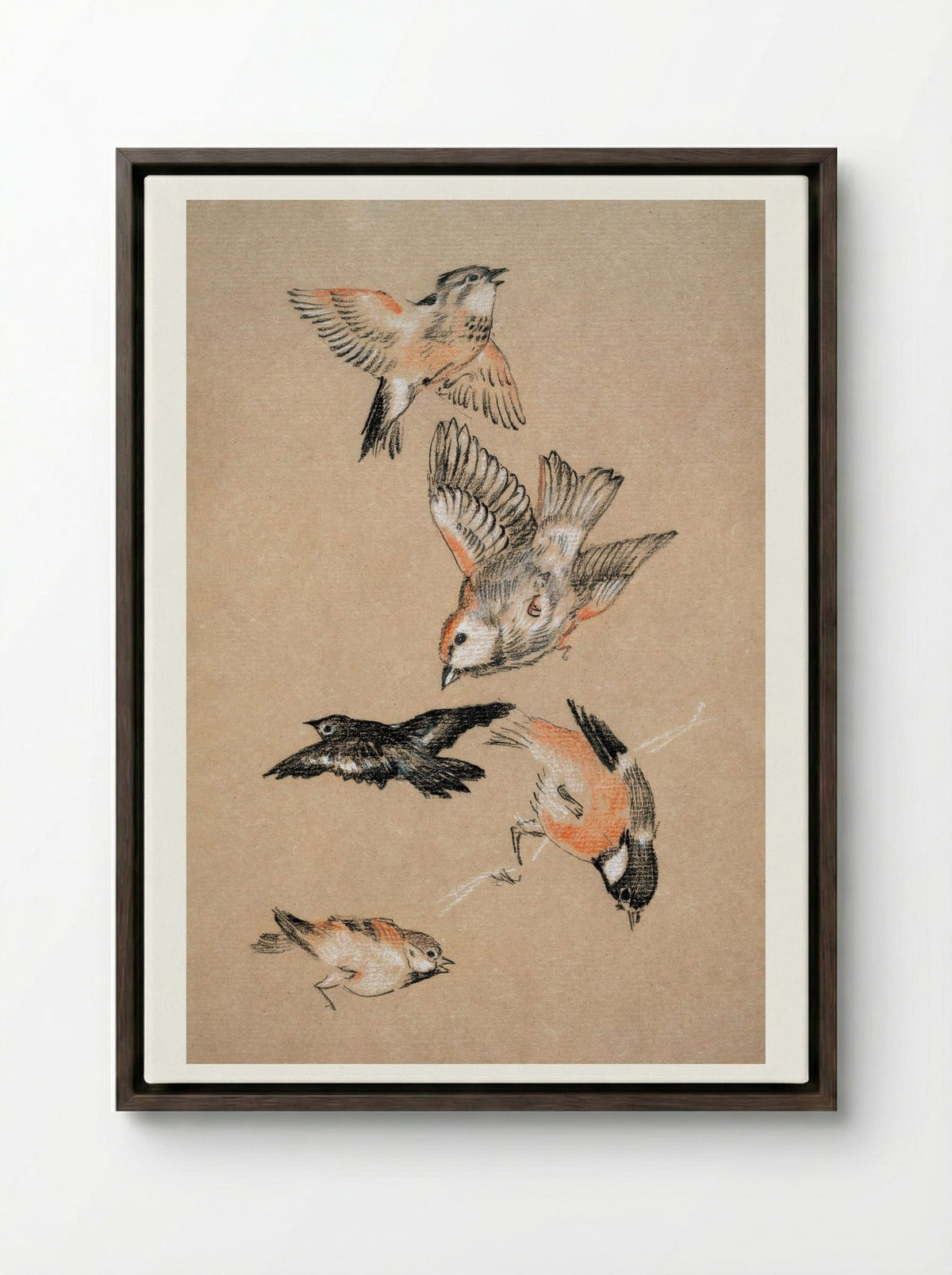 Study of Finches (for 'Love Leading the Pilgrim') - Edward Burne-Jones - Framed Canvas Dark Wood
