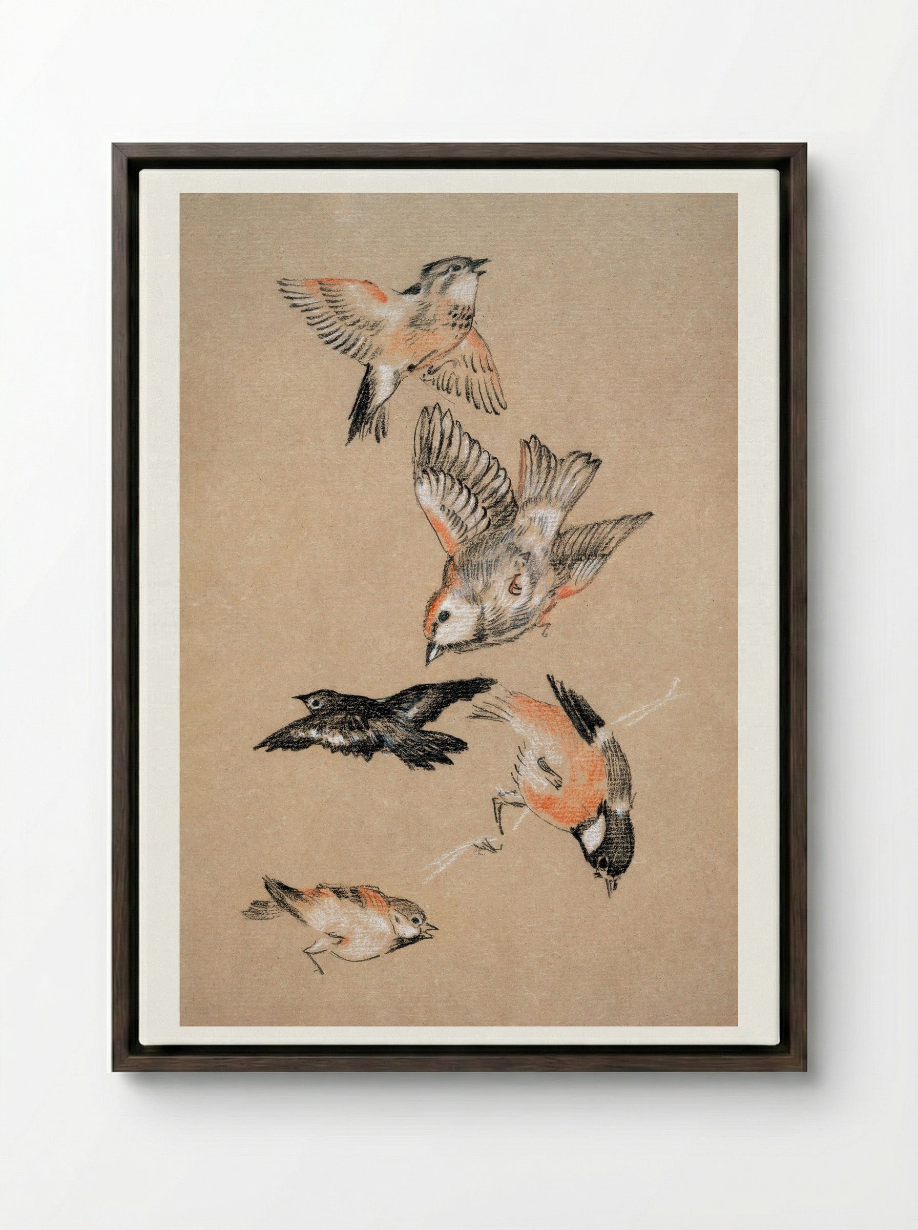 Study of Finches (for 'Love Leading the Pilgrim') - Edward Burne-Jones - Framed Canvas Dark Wood