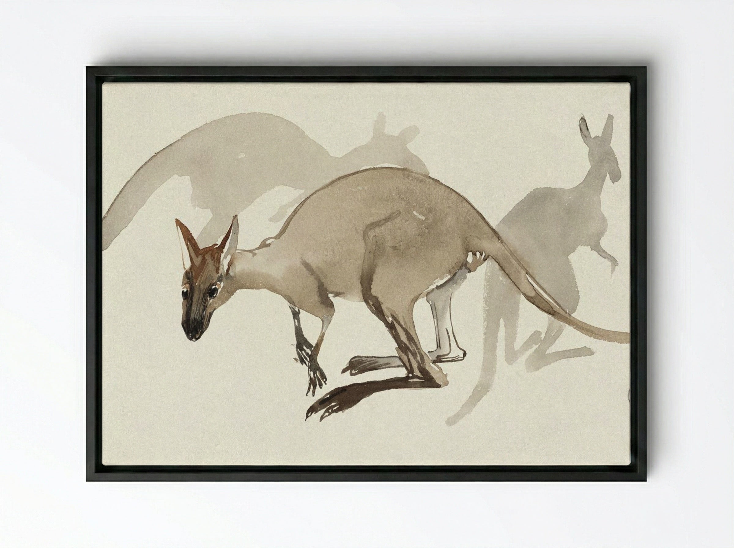 Kangaroos - Theo van Hoytema - Framed Canvas Black