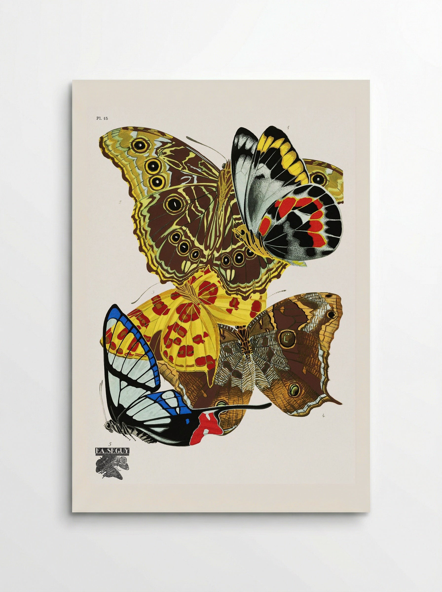 Butterflies (Plate 15) - Émile-Allain Séguy - Poster