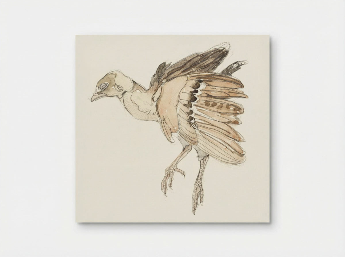 Dood vogeltje (Patrijs) - Theo van Hoytema - Poster