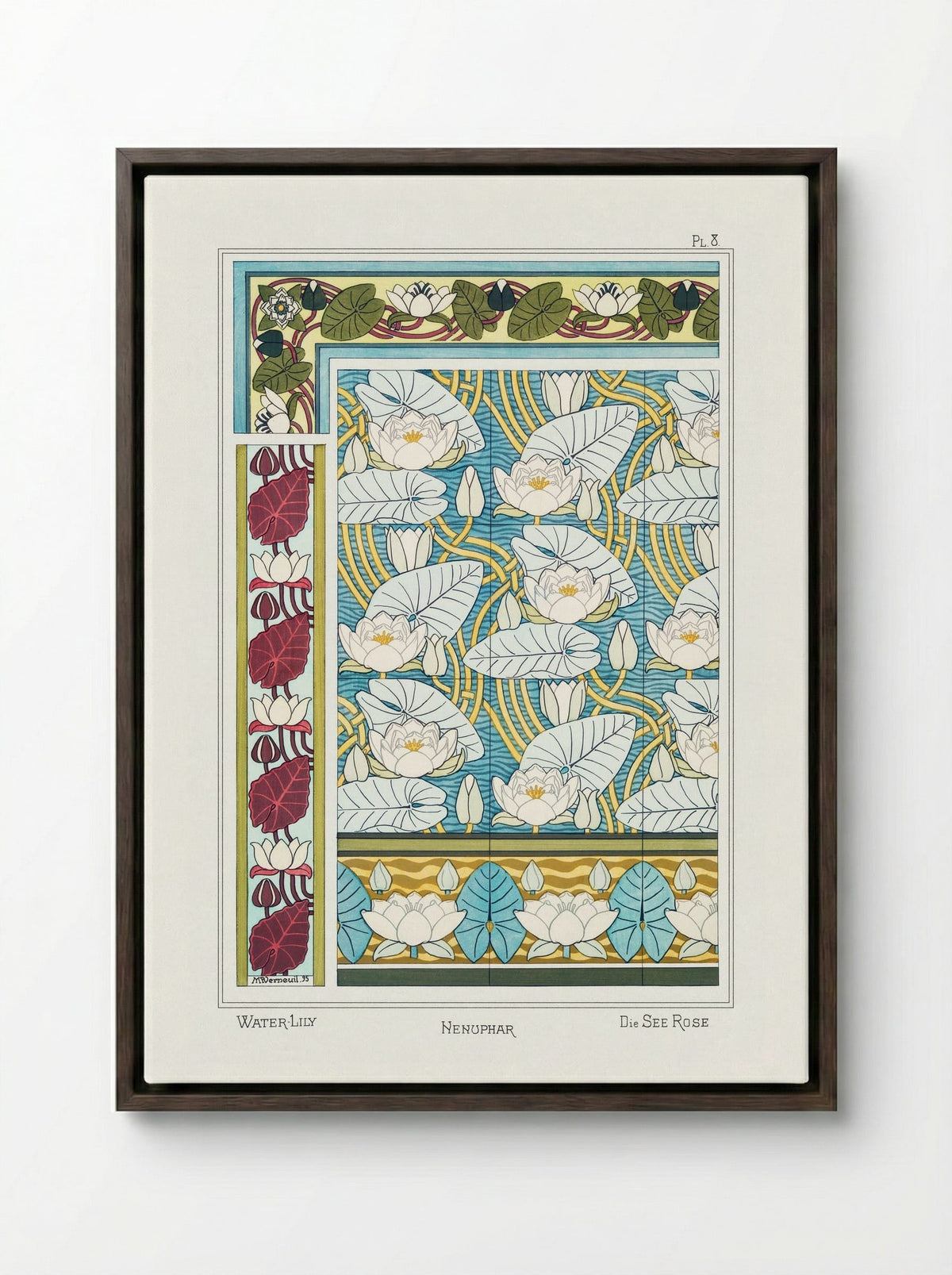 Nénuphar (Water Lilies) from La Plante et ses Applications ornementales - Maurice Pillard Verneuil - Framed Canvas Dark Wood