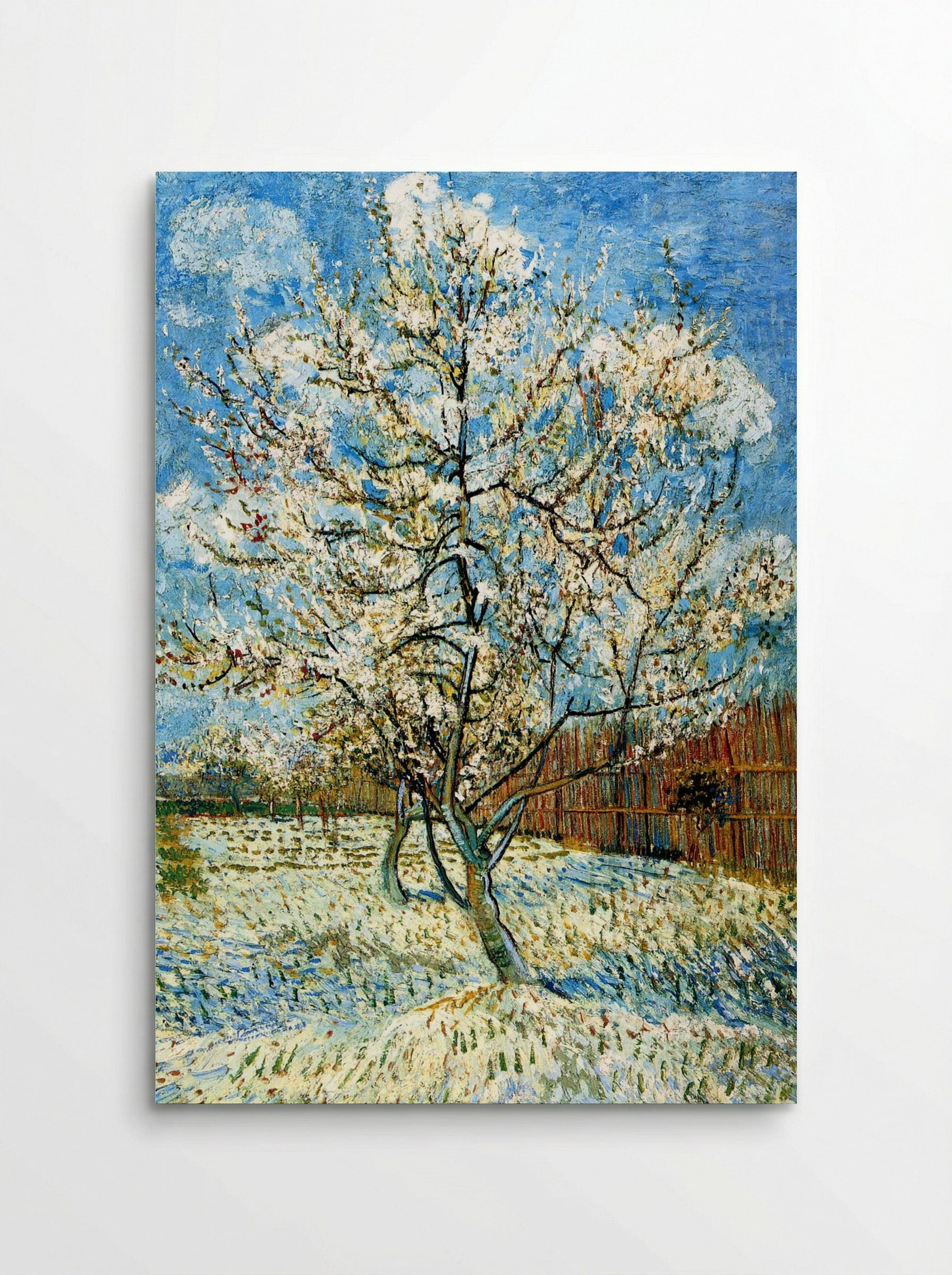 Peach Trees in Blossom - Vincent van Gogh - Poster