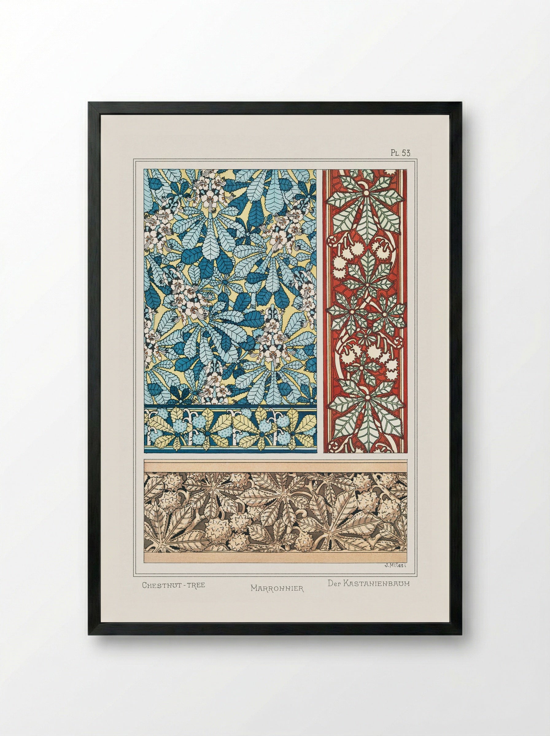 Marronnier (Chestnut Tree) from La Plante et ses Applications ornementales - Maurice Pillard Verneuil - Framed Print Black