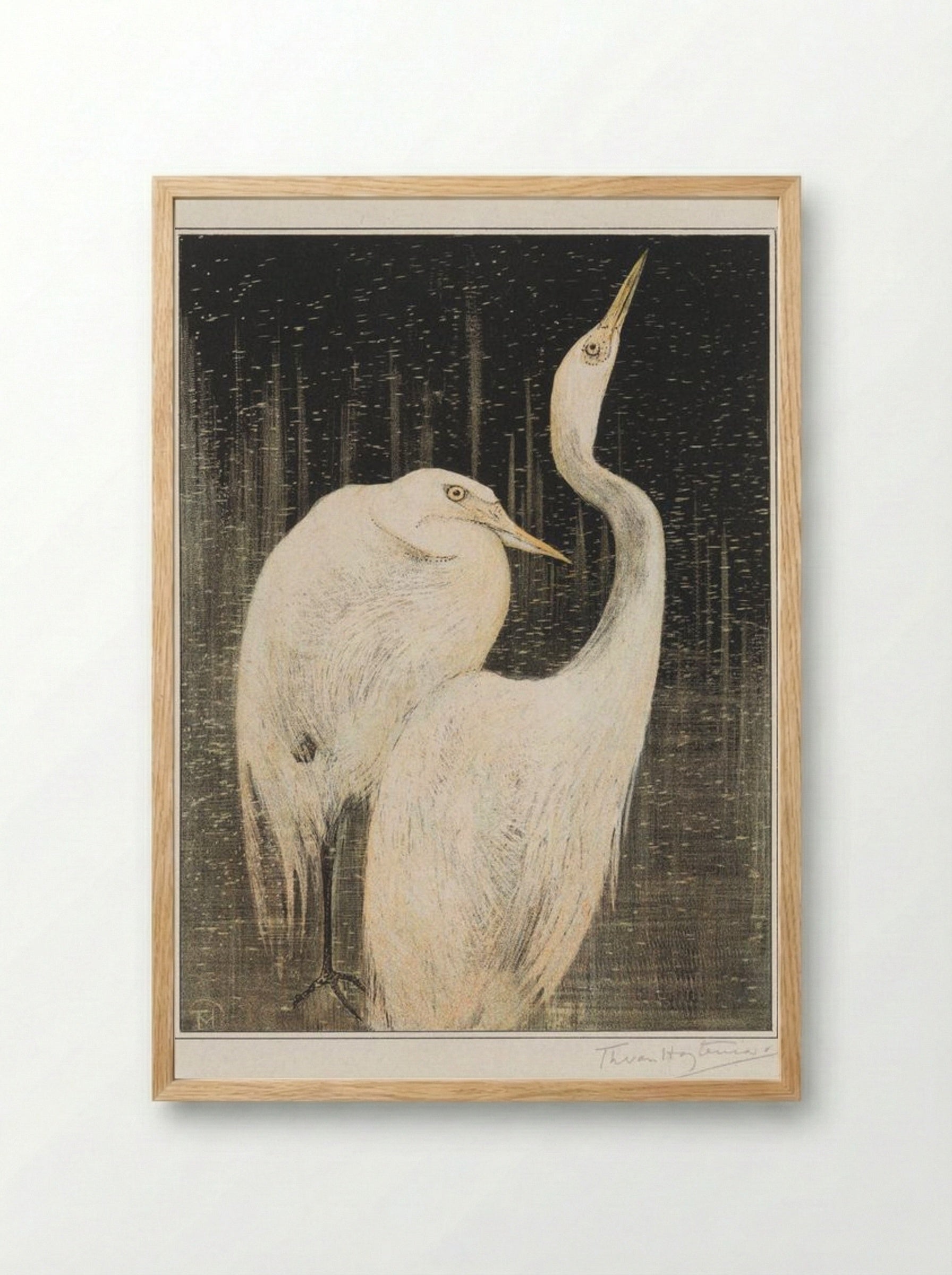 Two Egrets - Theo van Hoytema - Framed Print Wood