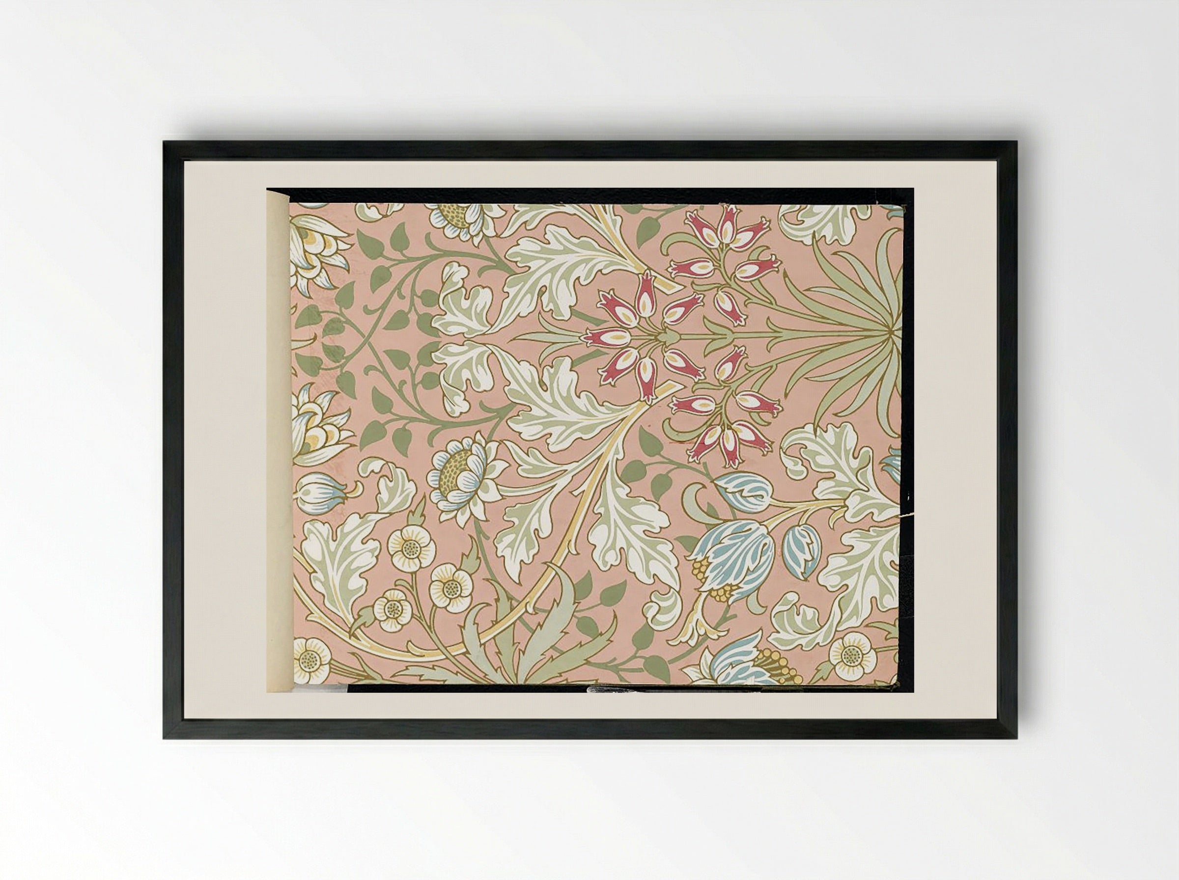 Hyacinth, Pattern No. 480 - Fine Art Print - Framed Print Black