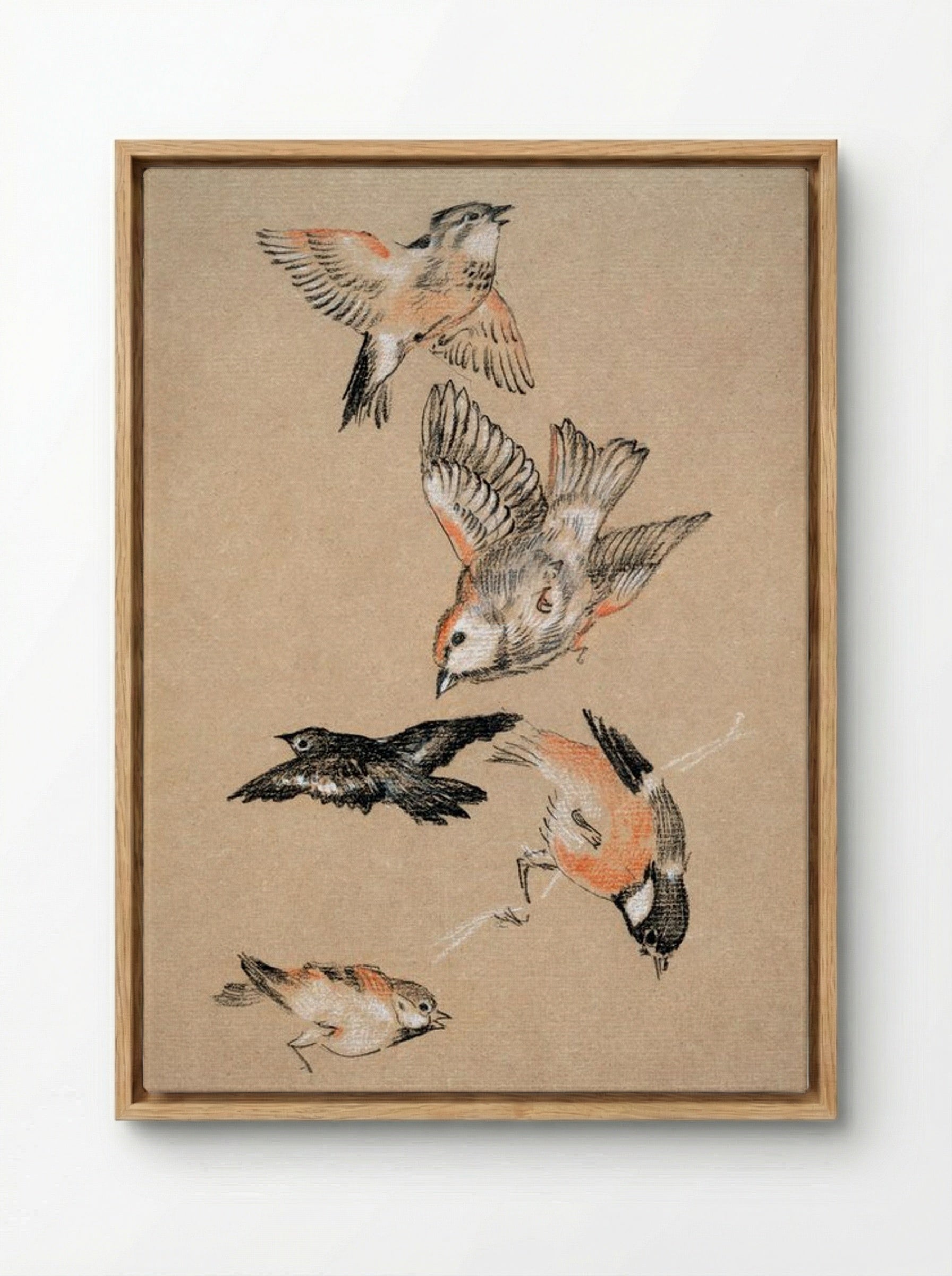 Study of Finches (for 'Love Leading the Pilgrim') - Edward Burne-Jones - Framed Canvas Wood