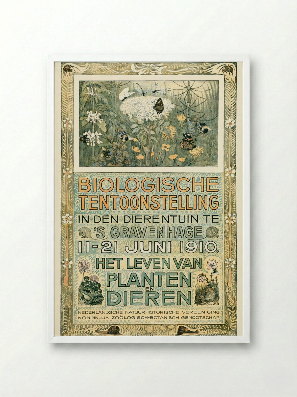 Poster of the Biologische Tentoonstelling (Biological Exhibition) - Theo van Hoytema - Framed Print White