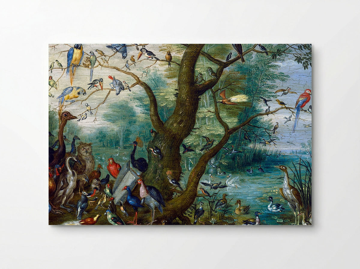 Concert of Birds - Jan van Kessel the Elder - Poster