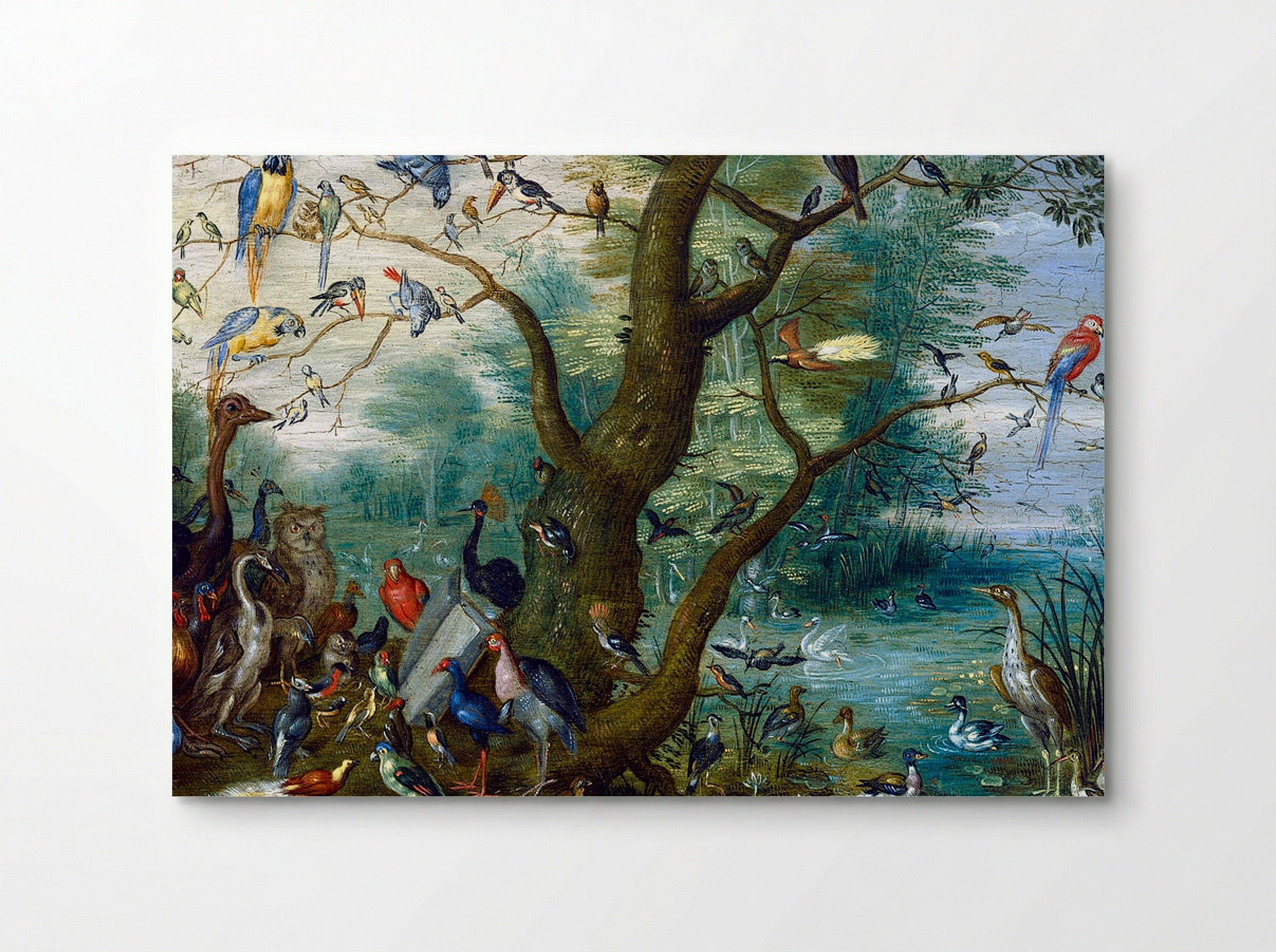 Concert of Birds - Jan van Kessel the Elder - Poster