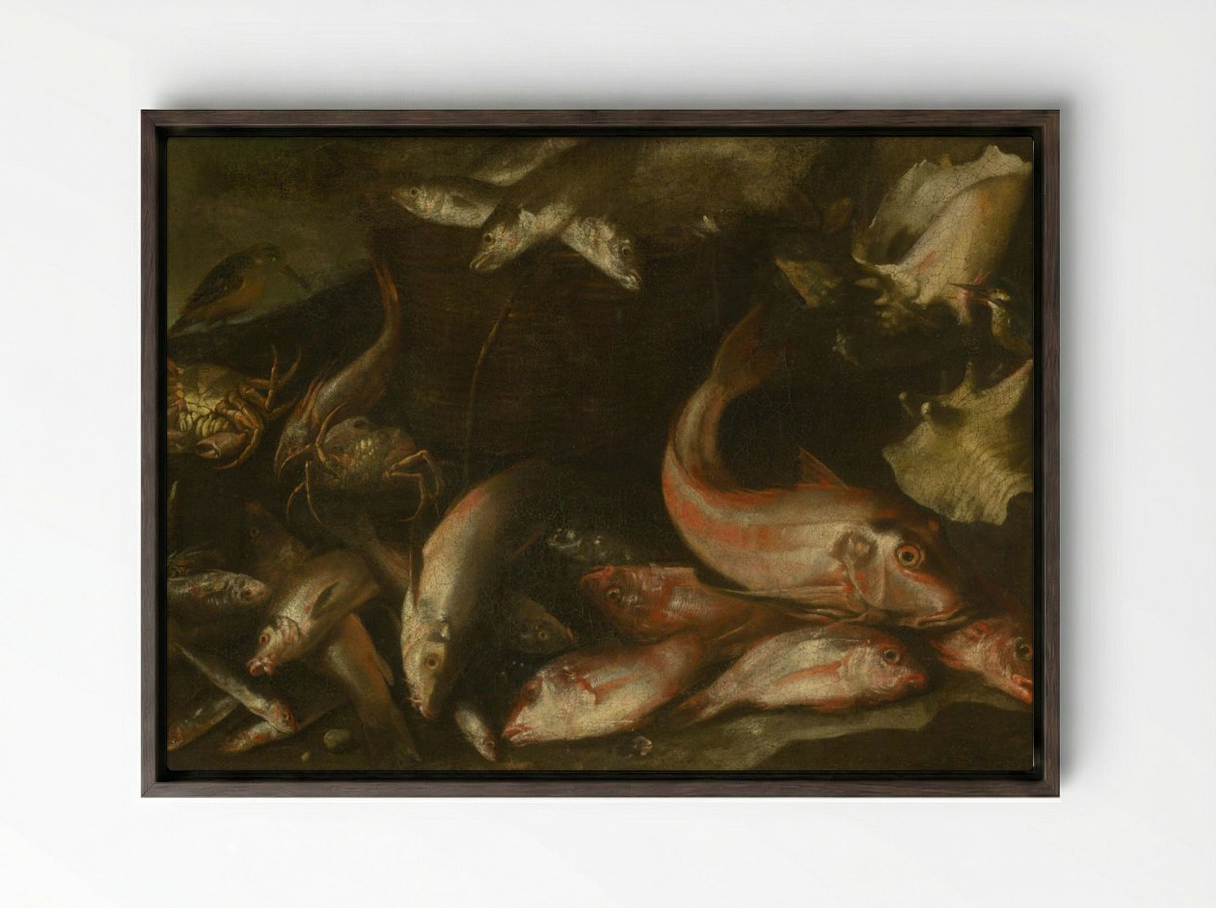 Still Life with Fish, Crabs, and Shells - Fine Art Print - Framed Canvas Dark Wood