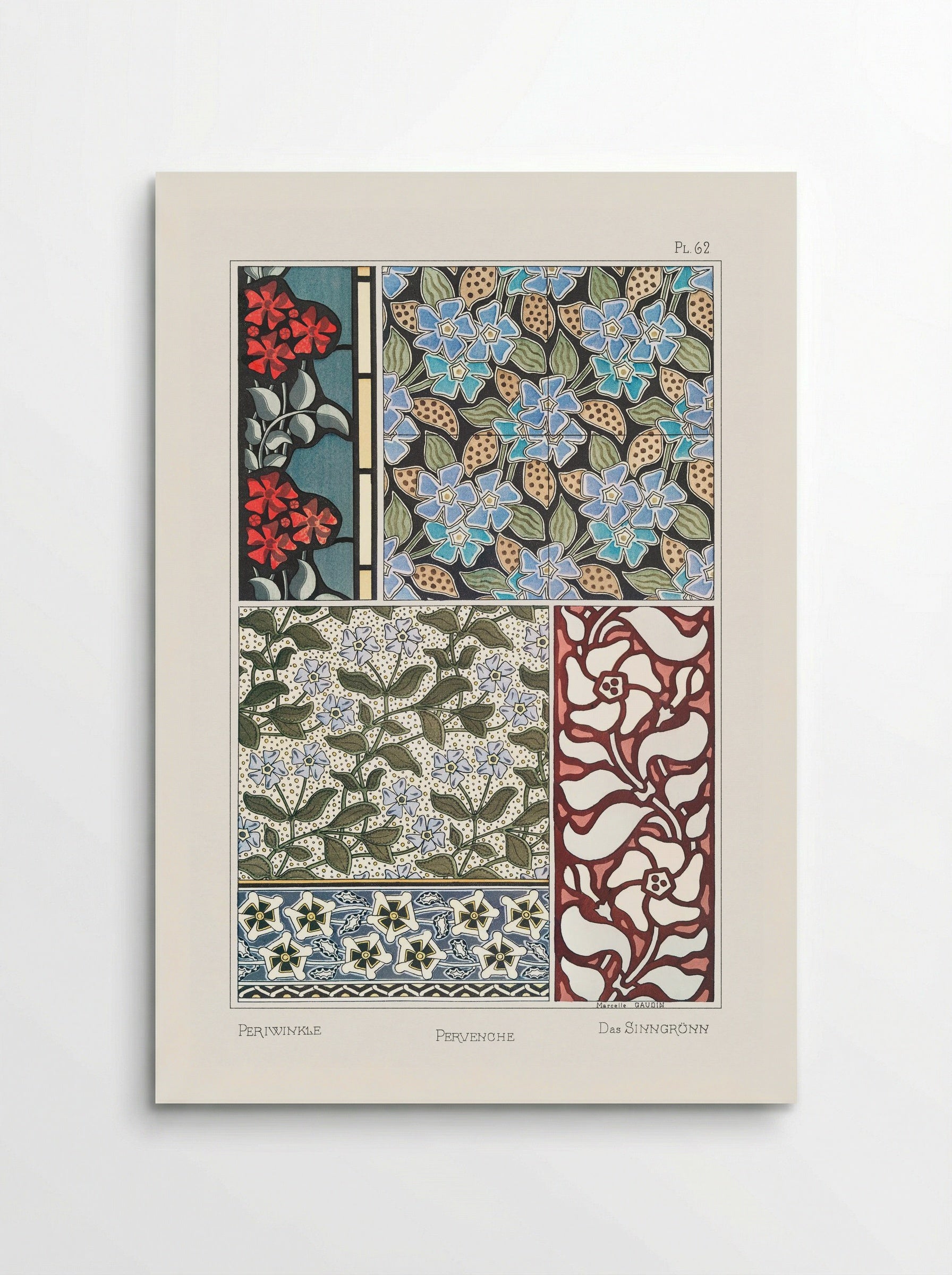 Pervenche (Periwinkle) from La Plante et ses Applications ornementales - Maurice Pillard Verneuil - Poster