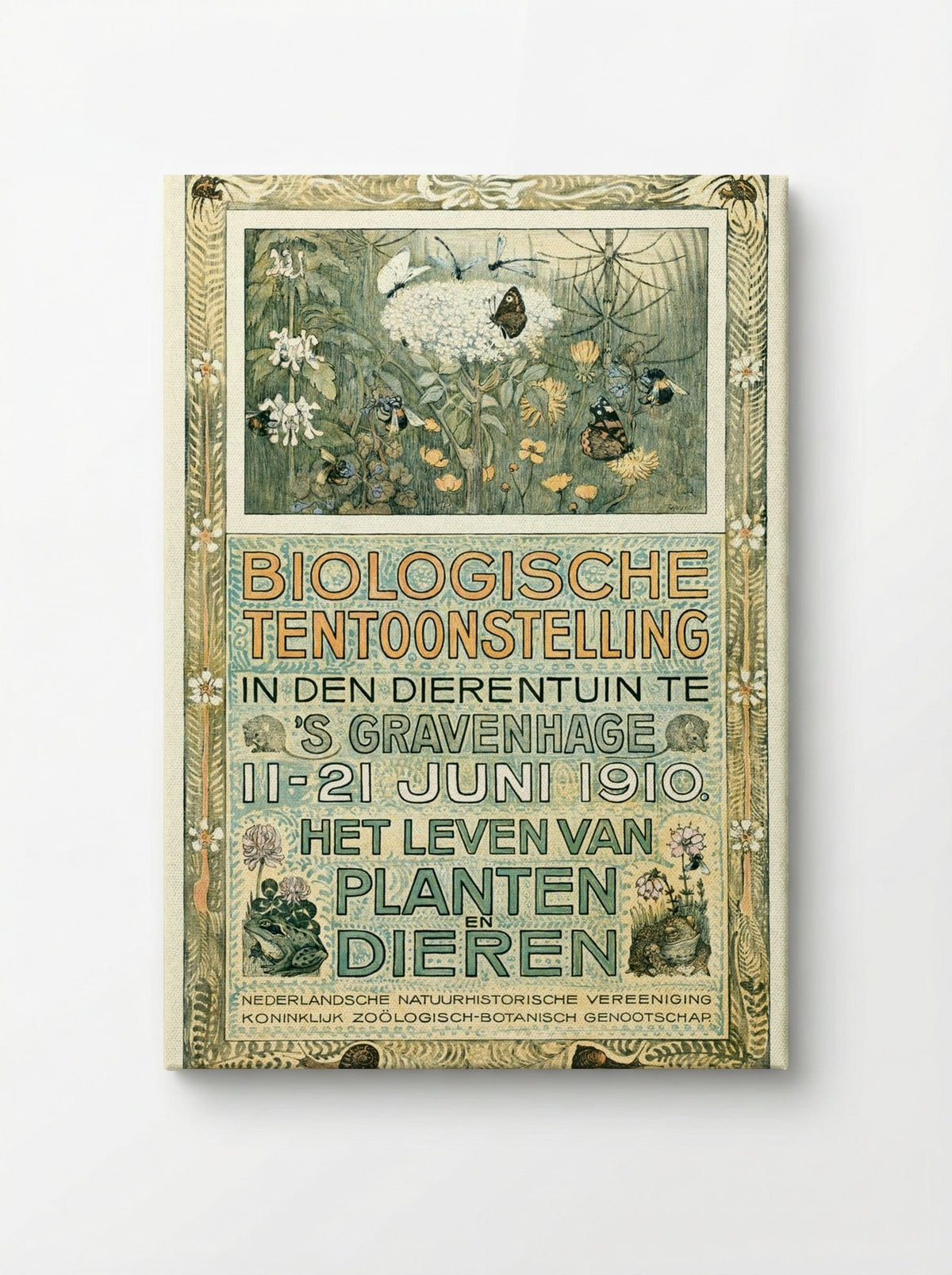 Poster of the Biologische Tentoonstelling (Biological Exhibition) - Theo van Hoytema - Canvas
